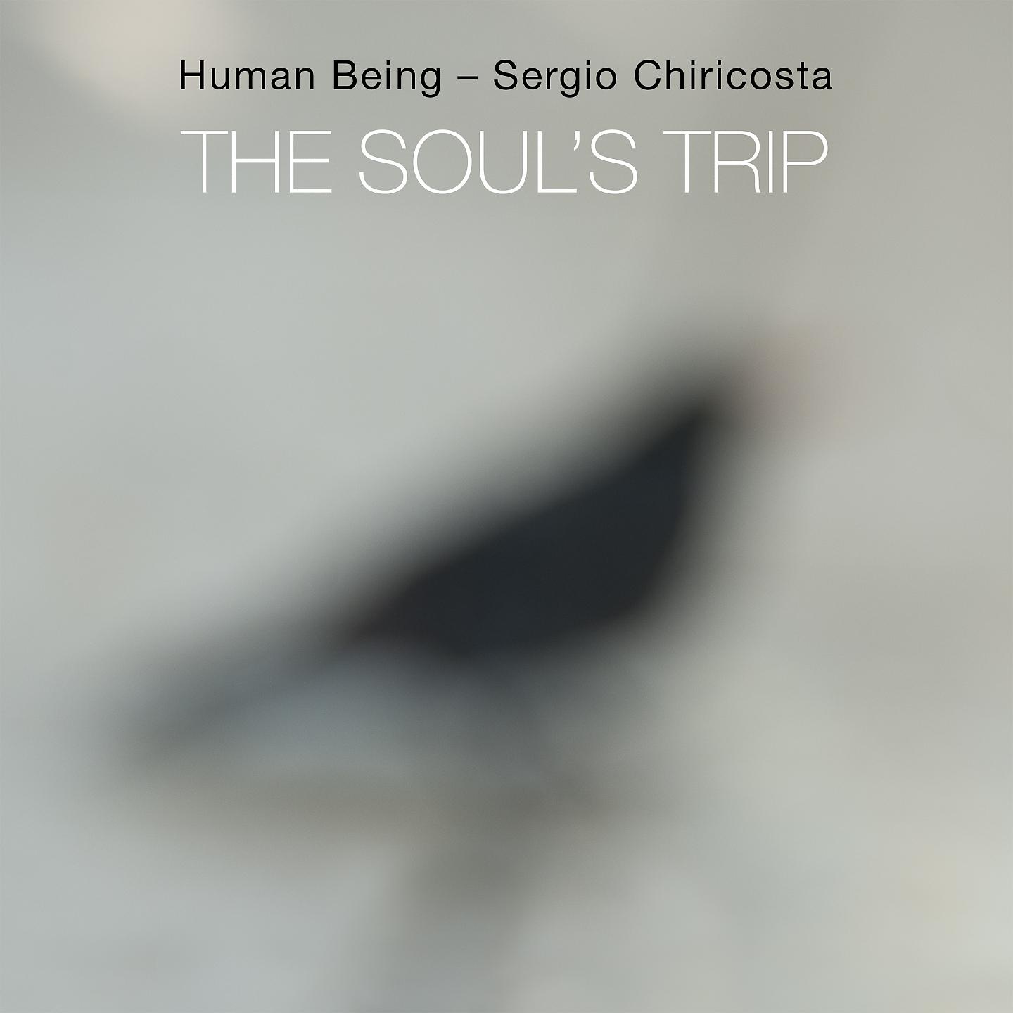 Постер альбома The Soul's Trip