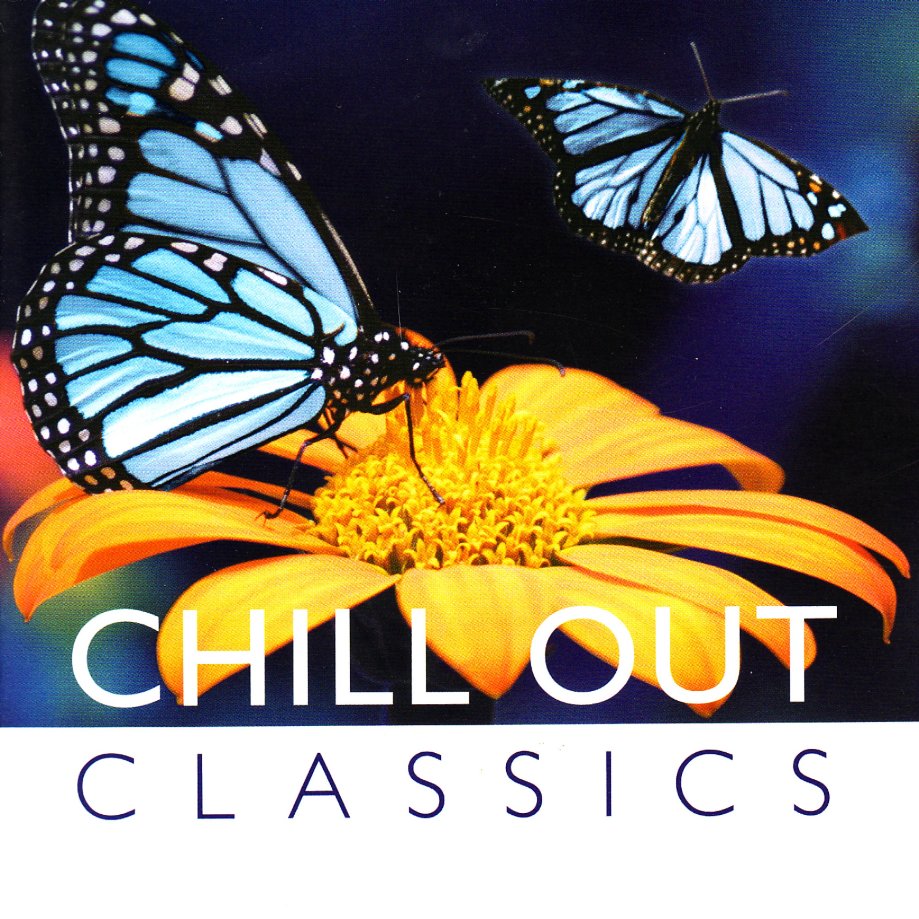 Постер альбома Chill Out - Classics