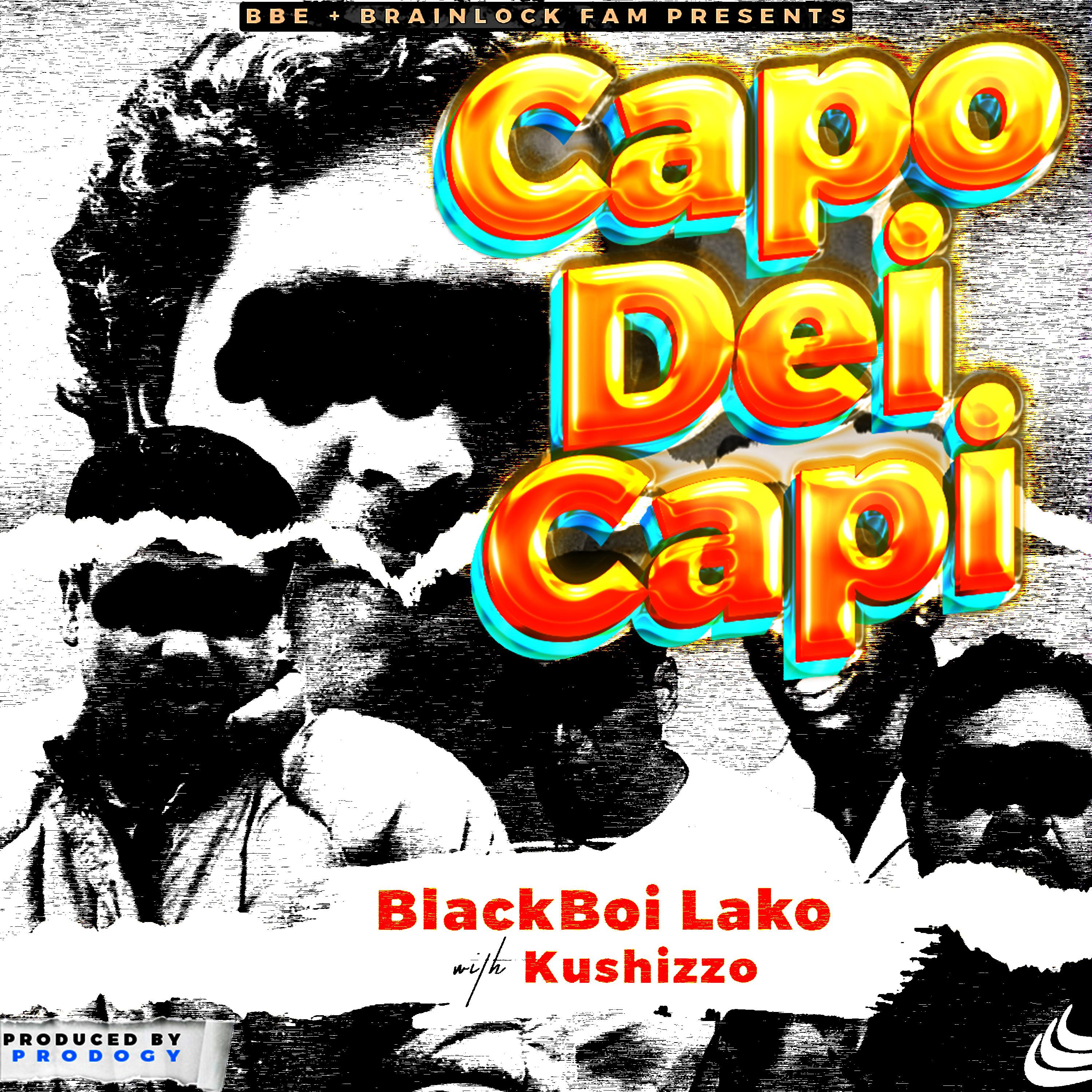 Постер альбома Capo Dei Capi