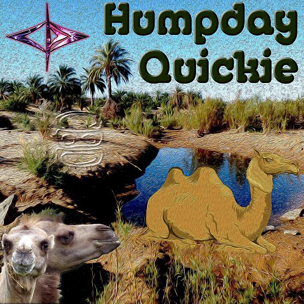 Постер альбома Humpday Quickie