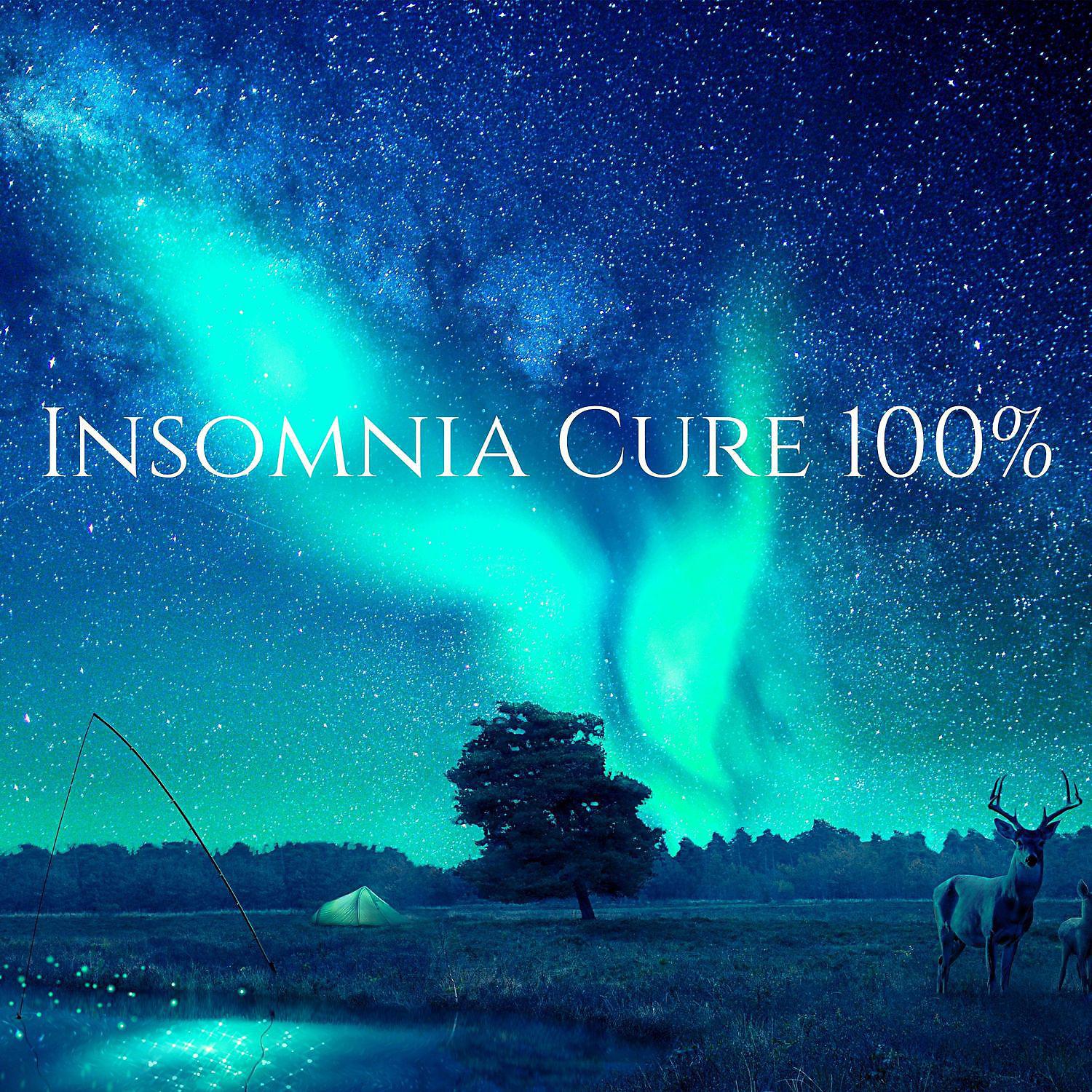 Постер альбома Insomnia Cure 100%: Sleep Music
