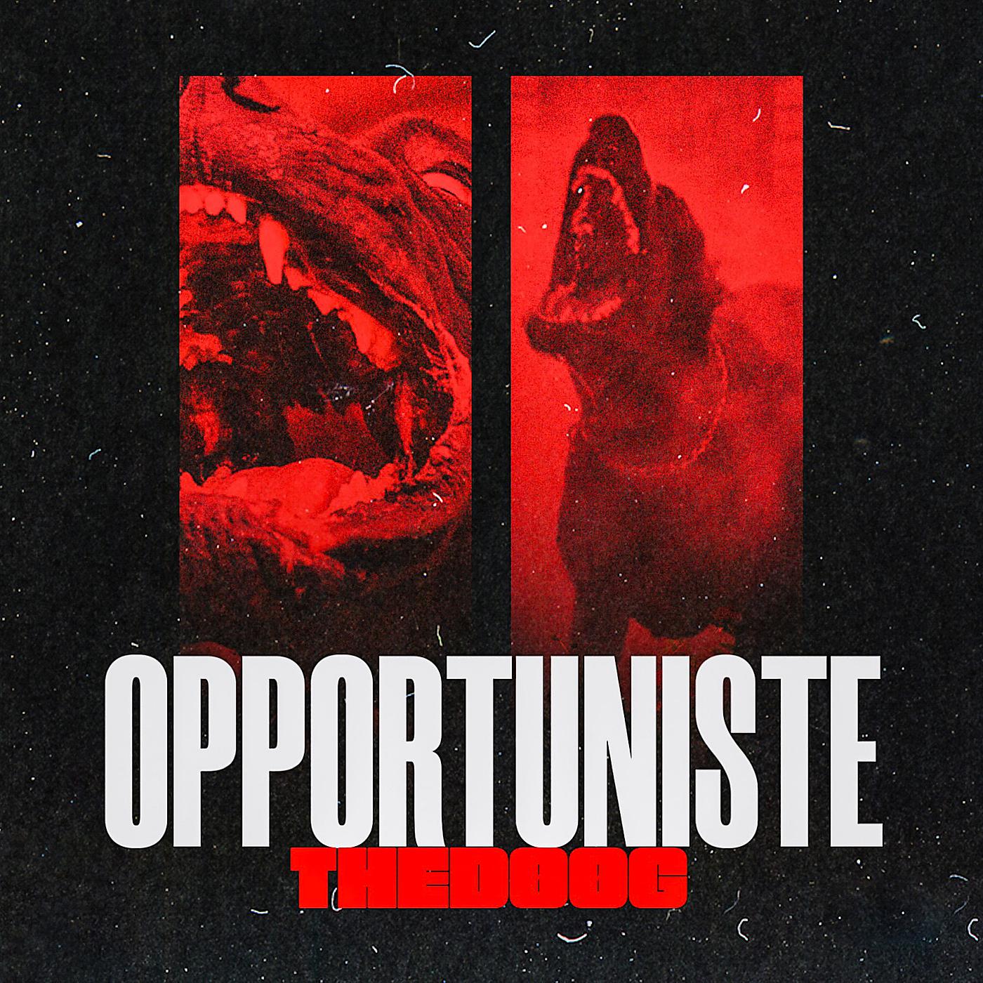 Постер альбома Opportuniste