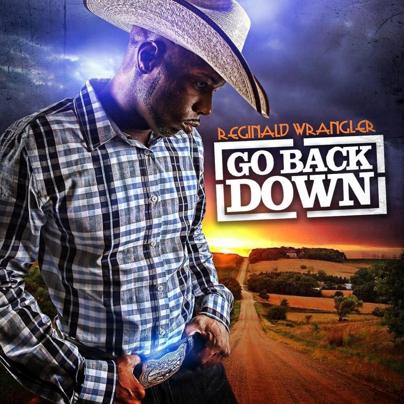 Постер альбома Go Back Down