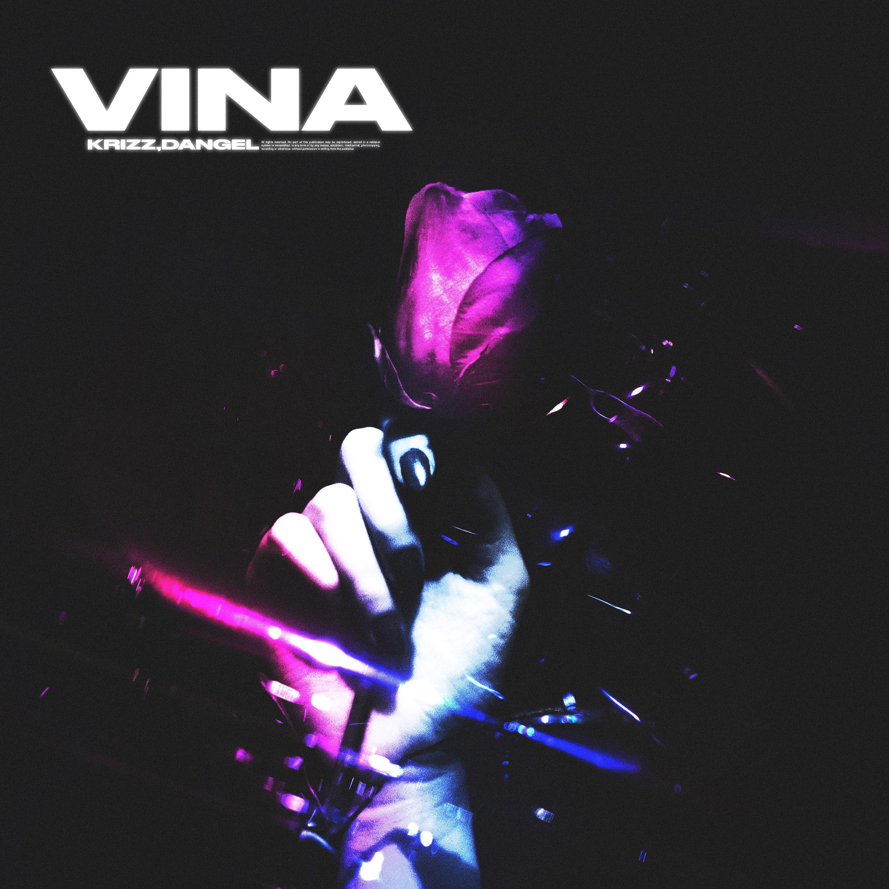 Постер альбома VINA (prod. by msblack)