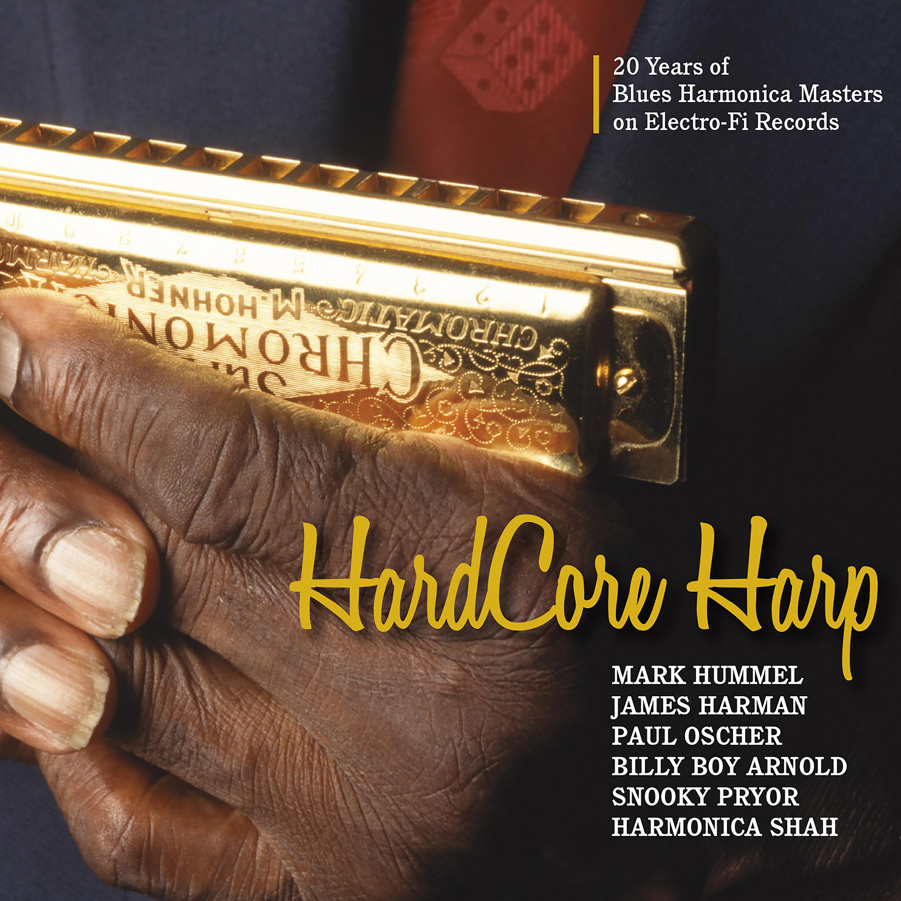 Постер альбома Hard Core Harp