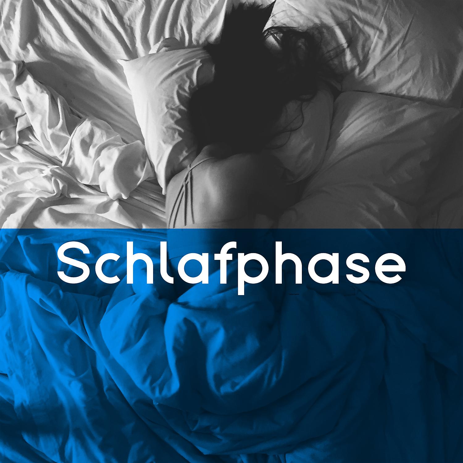 Постер альбома Schlafphase: Instrumentale New-Age-Musik mit Naturklängen