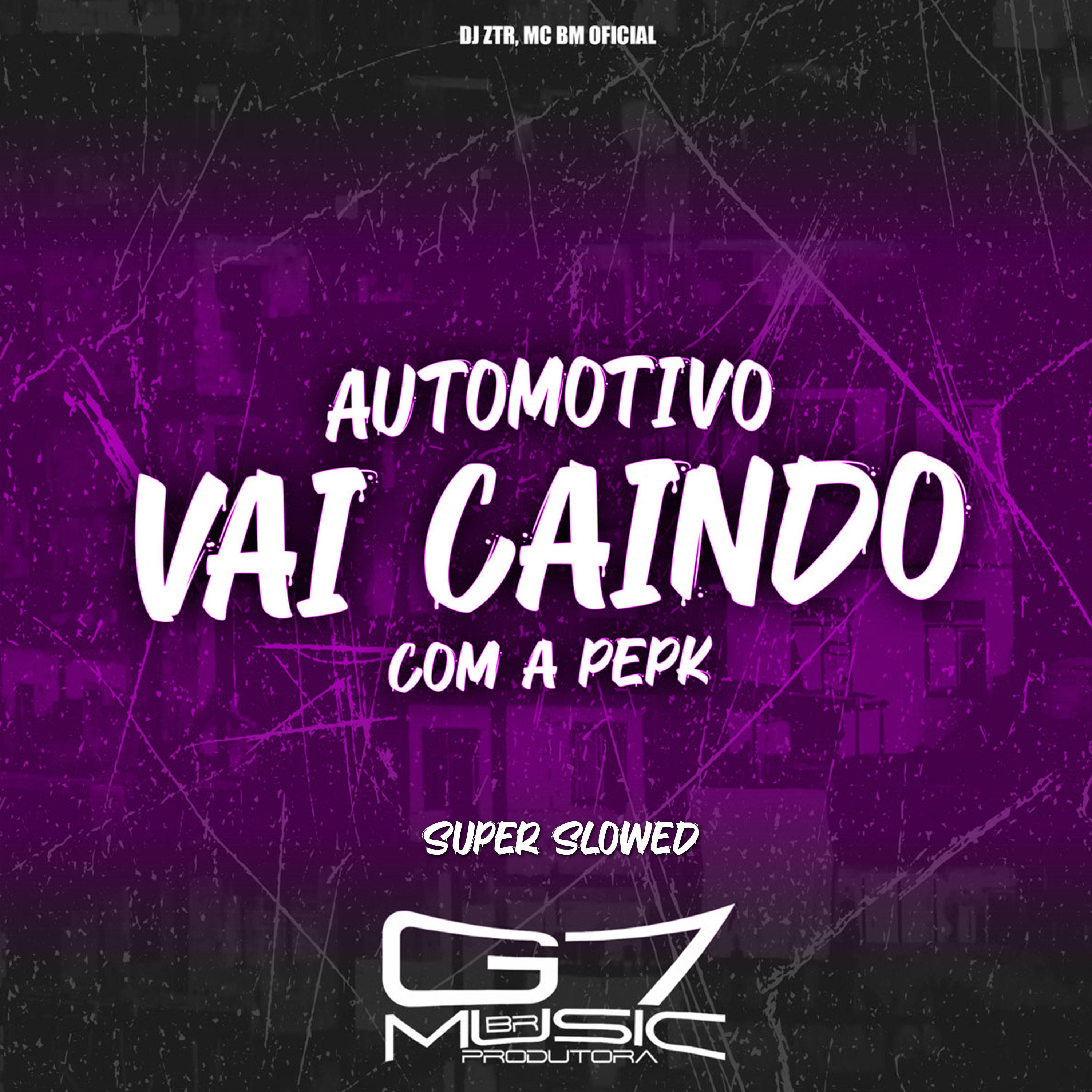 Постер альбома Automotivo Vai Caindo Com a Pepk (Super Slowed)