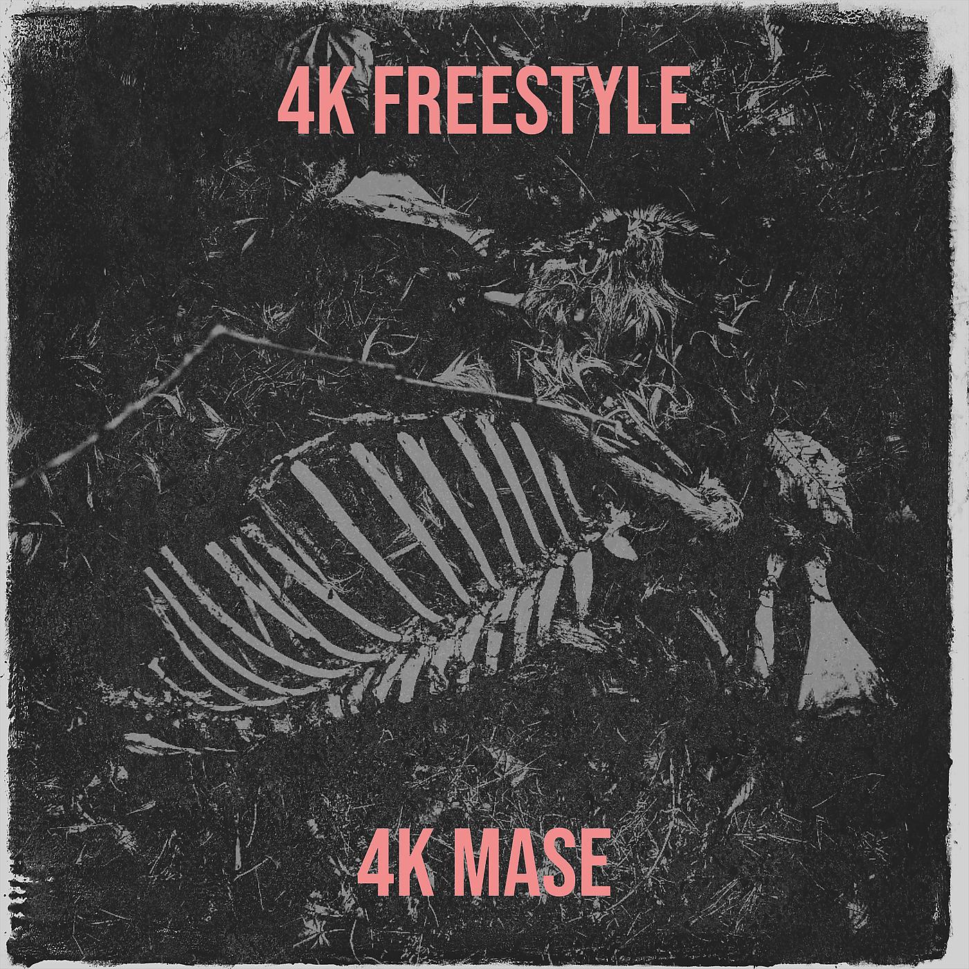 Постер альбома 4k Freestyle