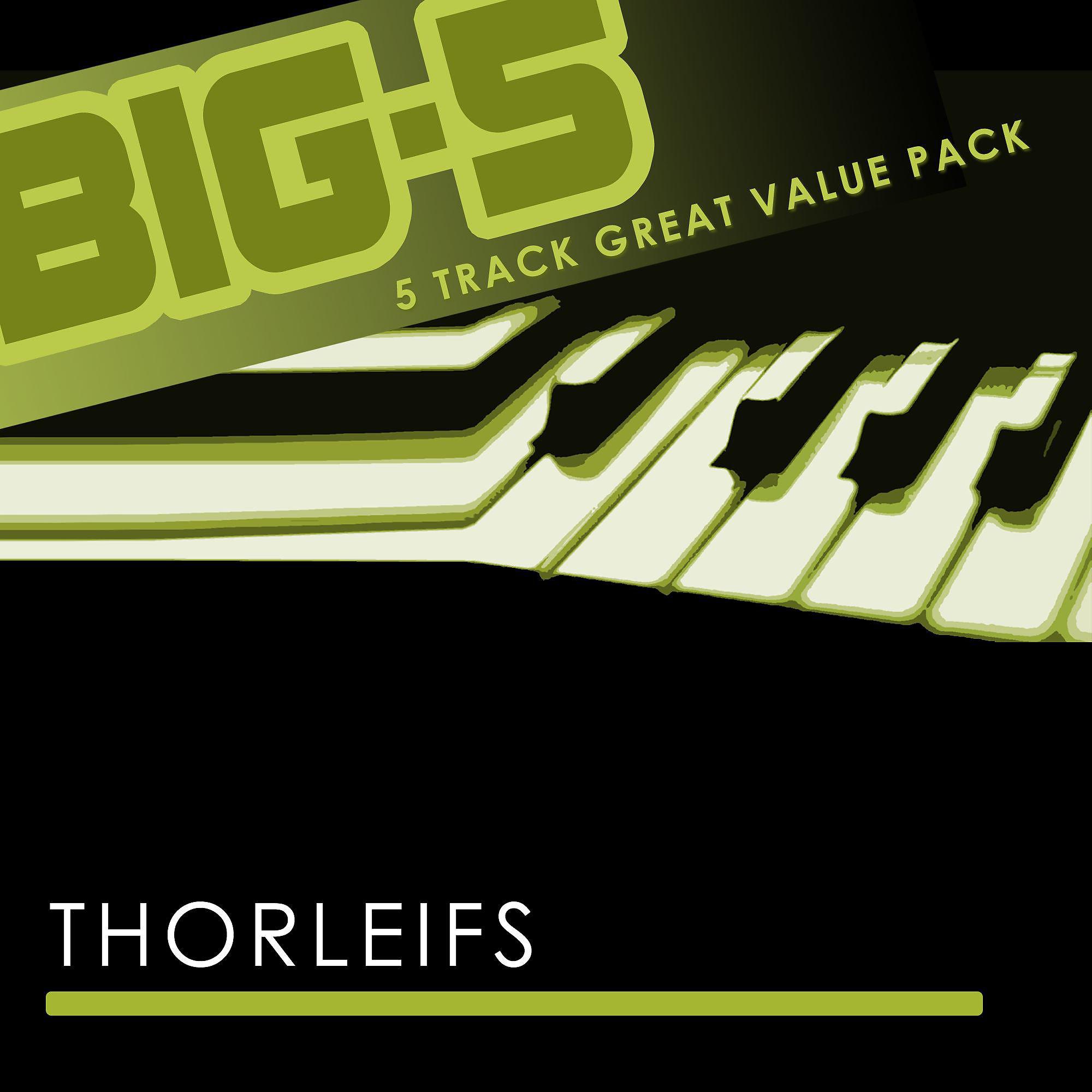Постер альбома Big-5 : Thorleifs
