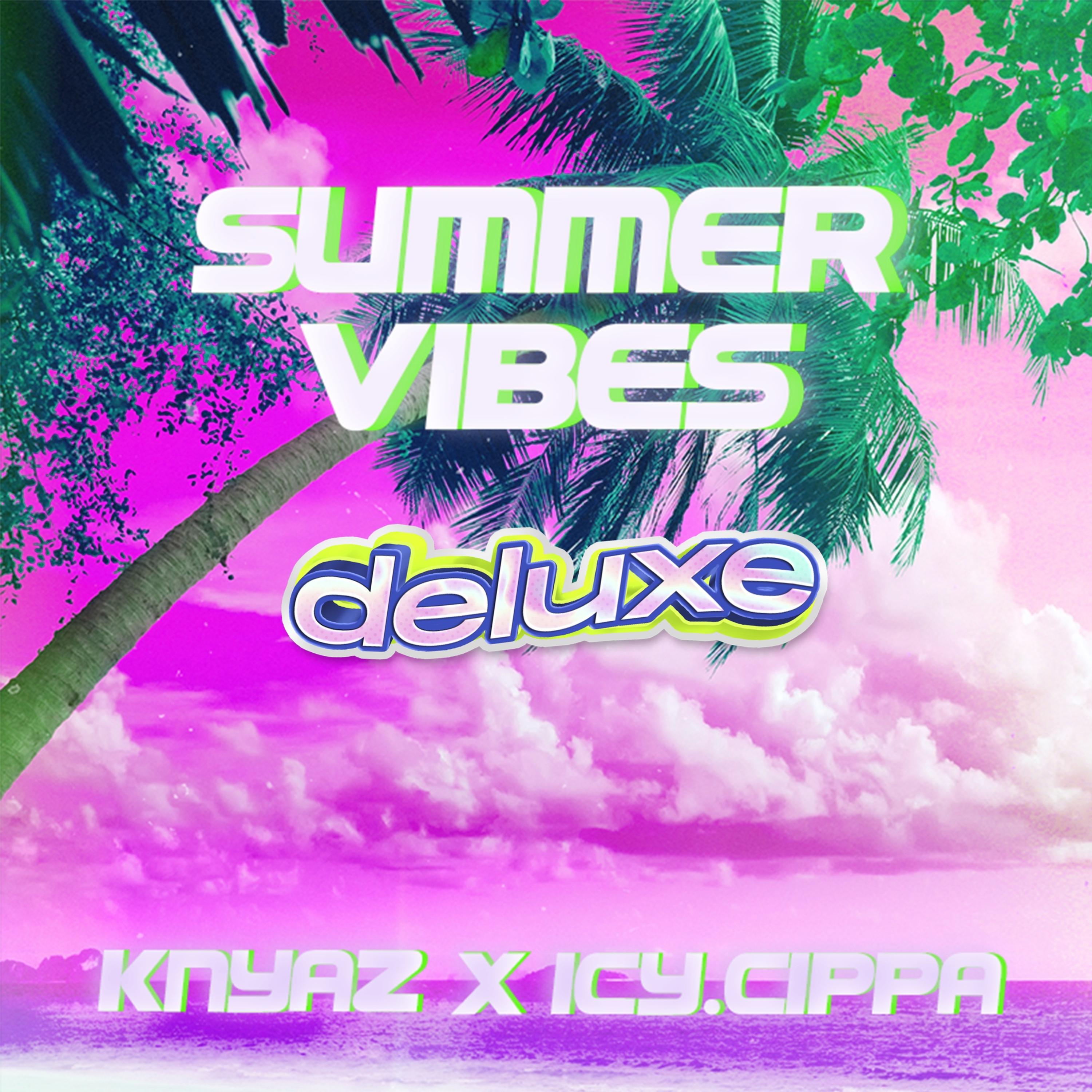 Постер альбома Summer Vibes (Deluxe)