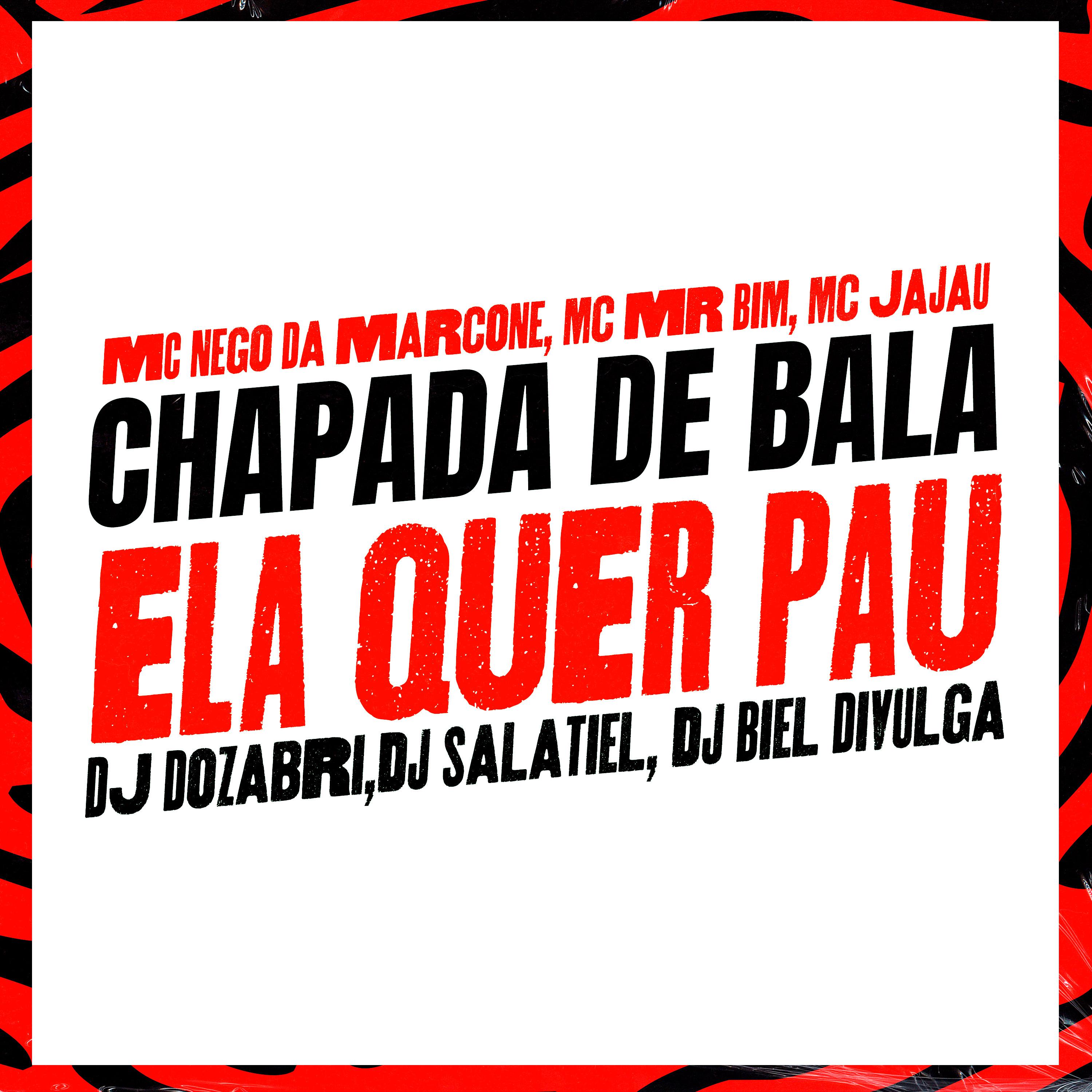 Постер альбома Chapada de Bala - Ela Quer Pau