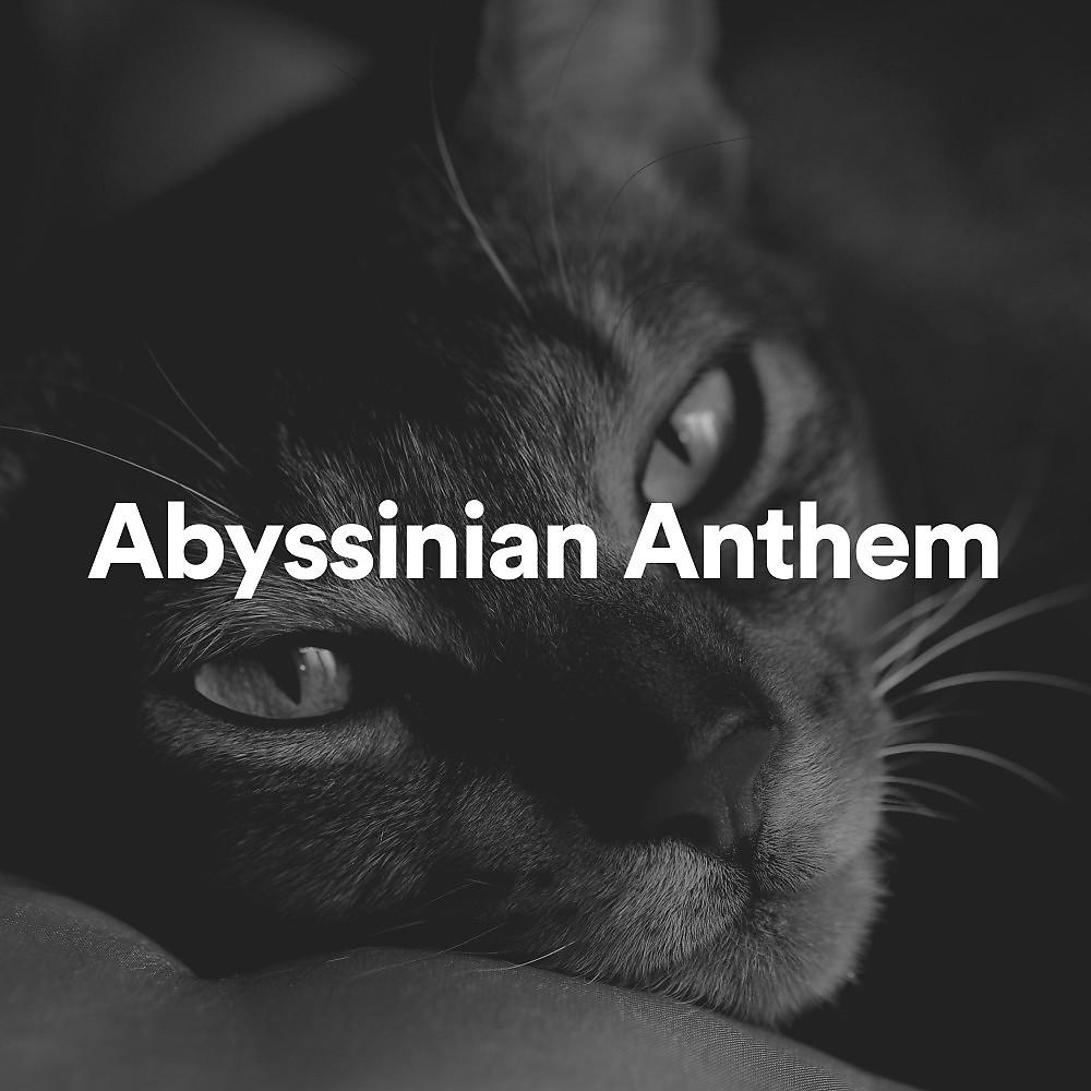 Постер альбома Abyssinian Anthem