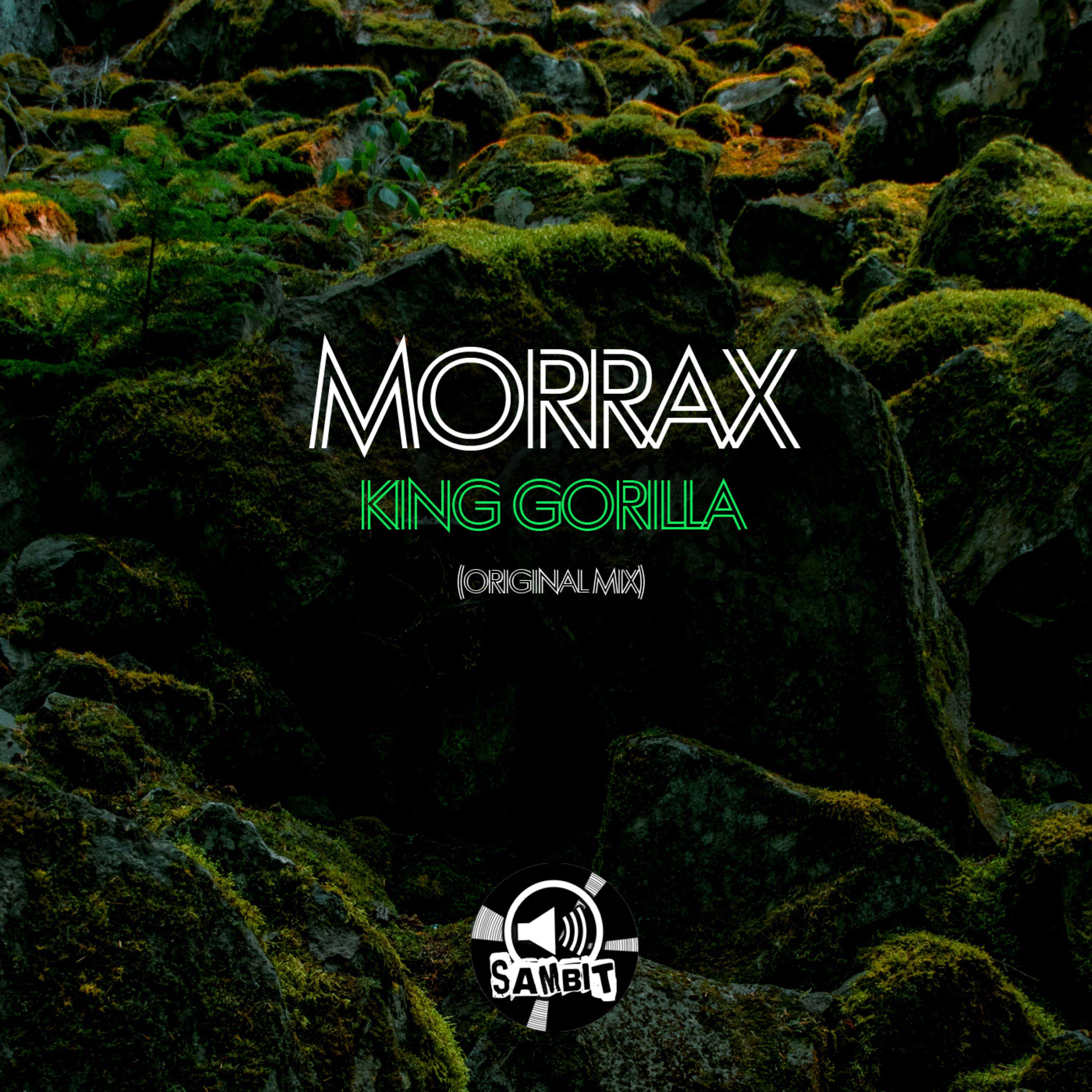 Постер альбома King Gorilla