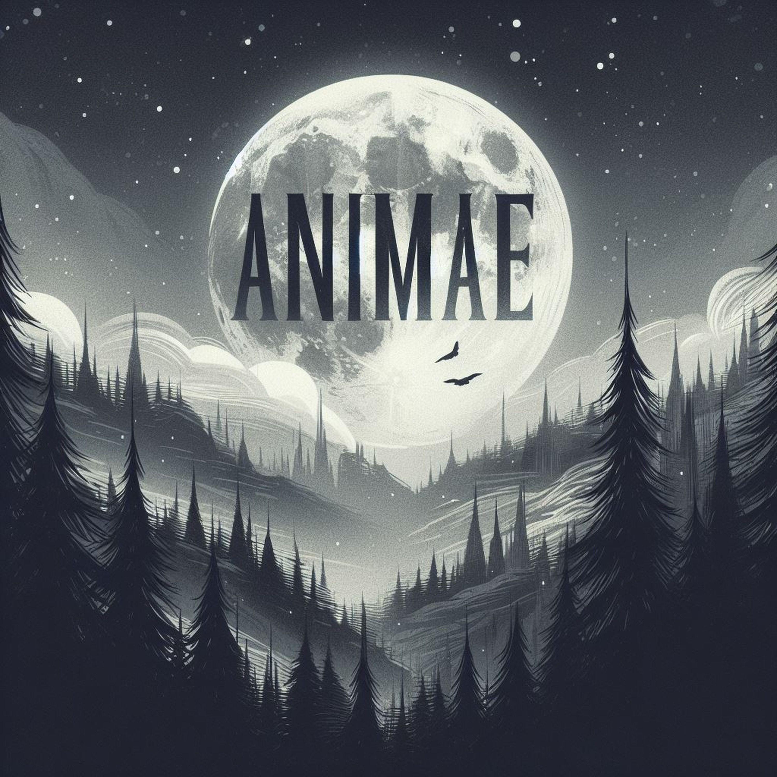 Постер альбома Animae