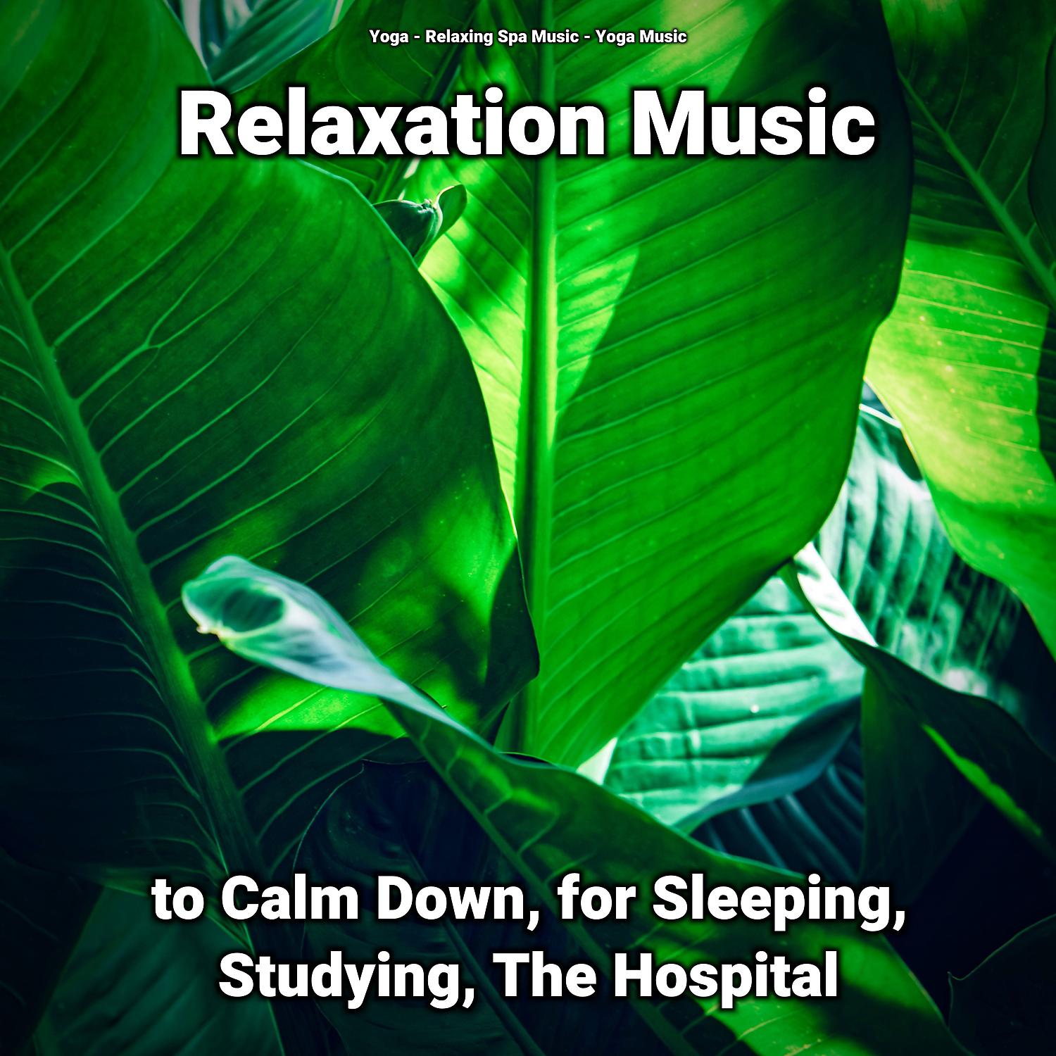 Постер альбома Relaxation Music to Calm Down, for Sleeping, Studying, The Hospital