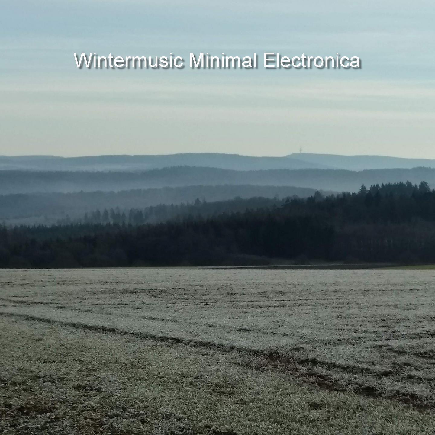 Постер альбома Wintermusic Minimal Electronica
