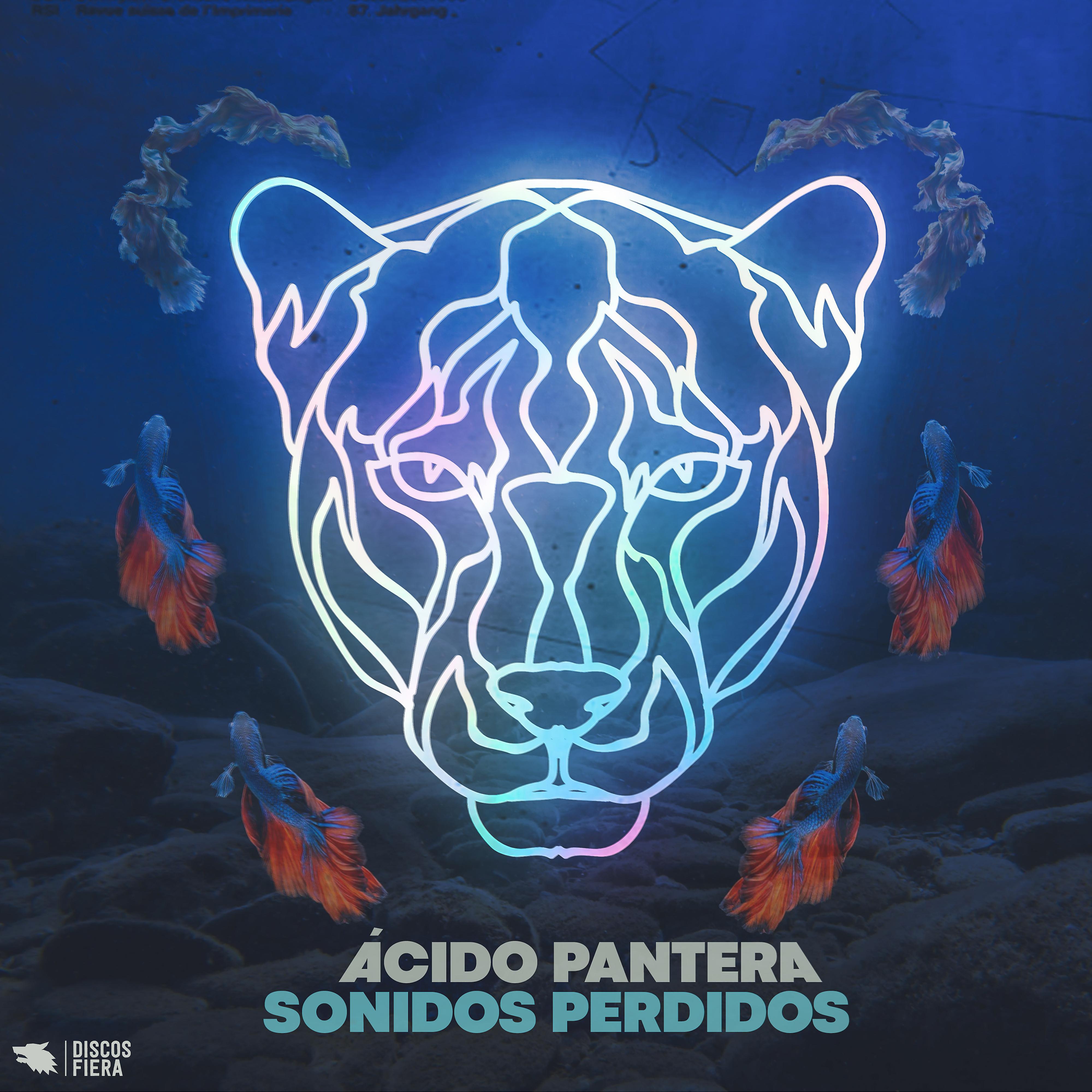 Постер альбома Sonidos Perdidos