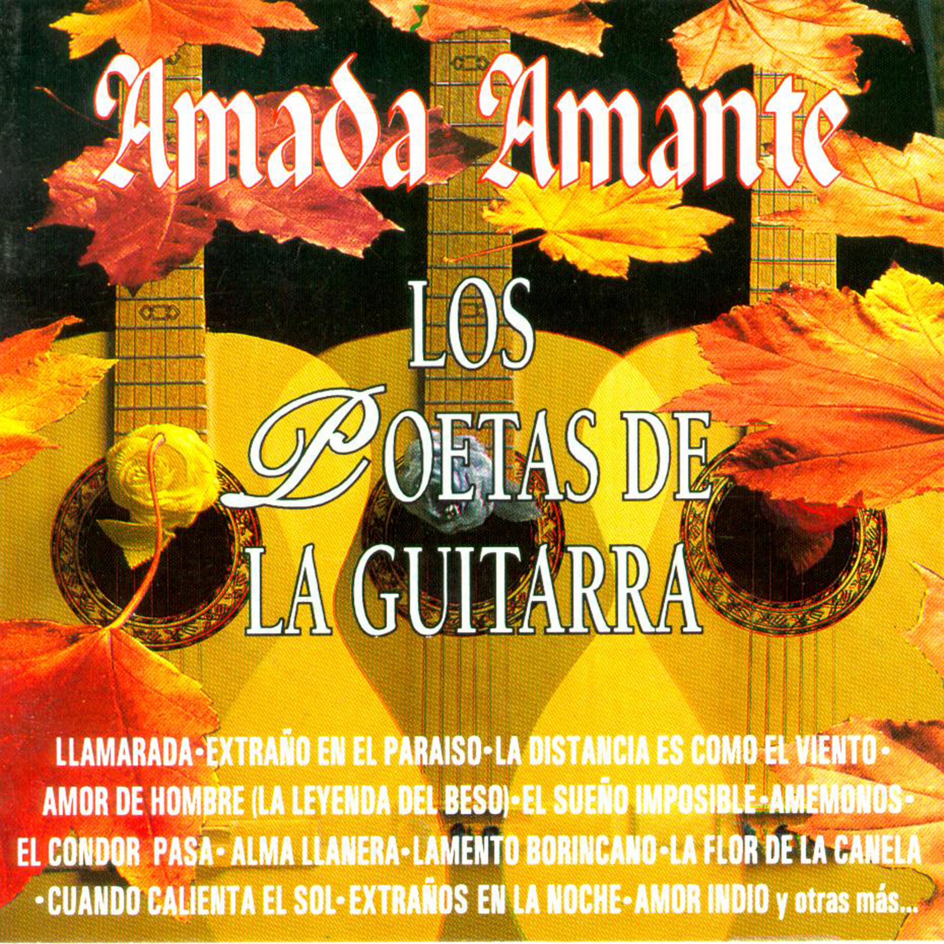Постер альбома Amada Amante