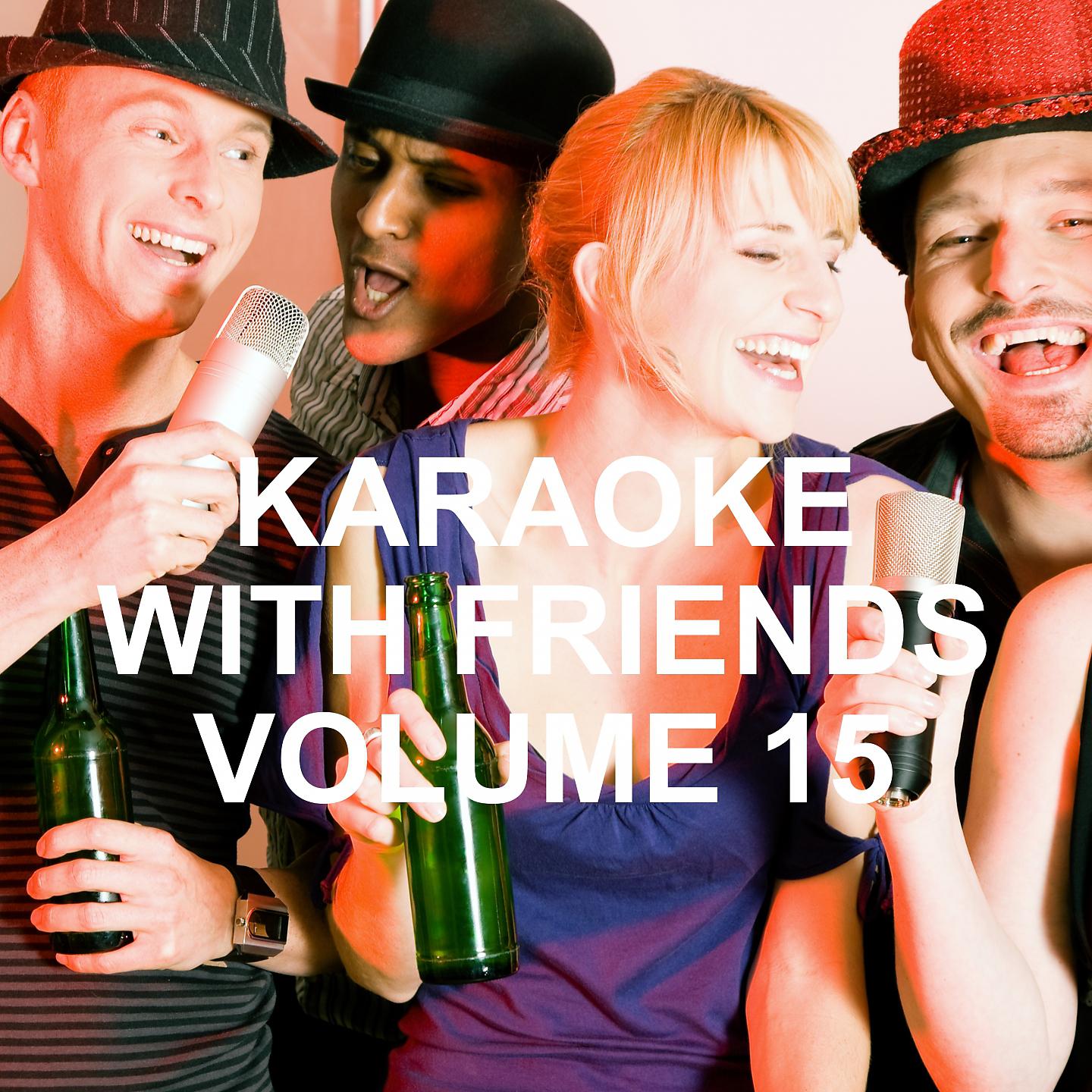 Постер альбома Karaoke With Friends, Vol. 15