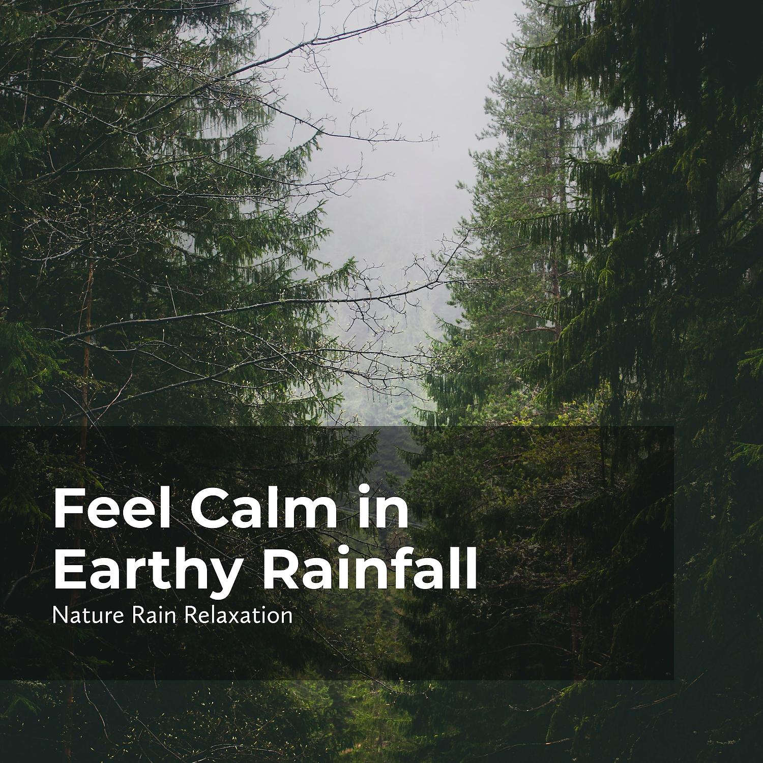 Постер альбома Feel Calm in Earthy Rainfall