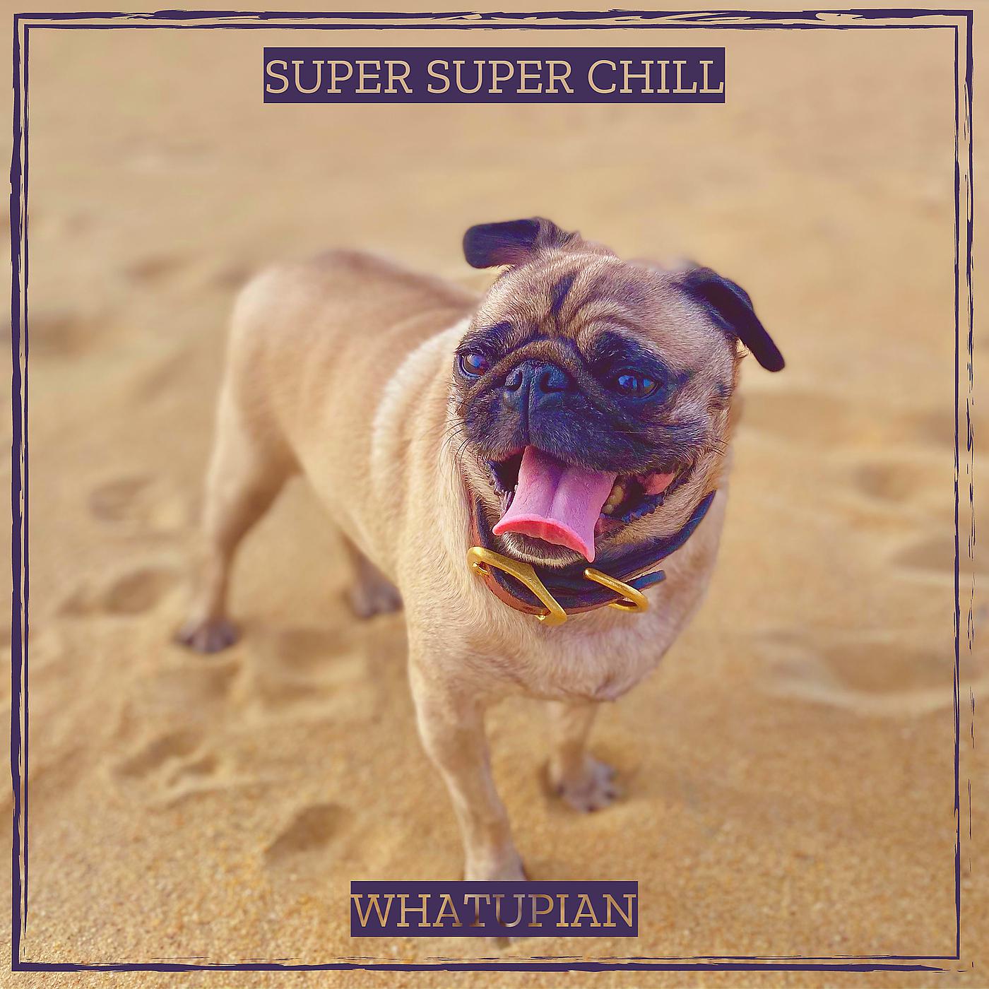 Постер альбома Super Super Chill