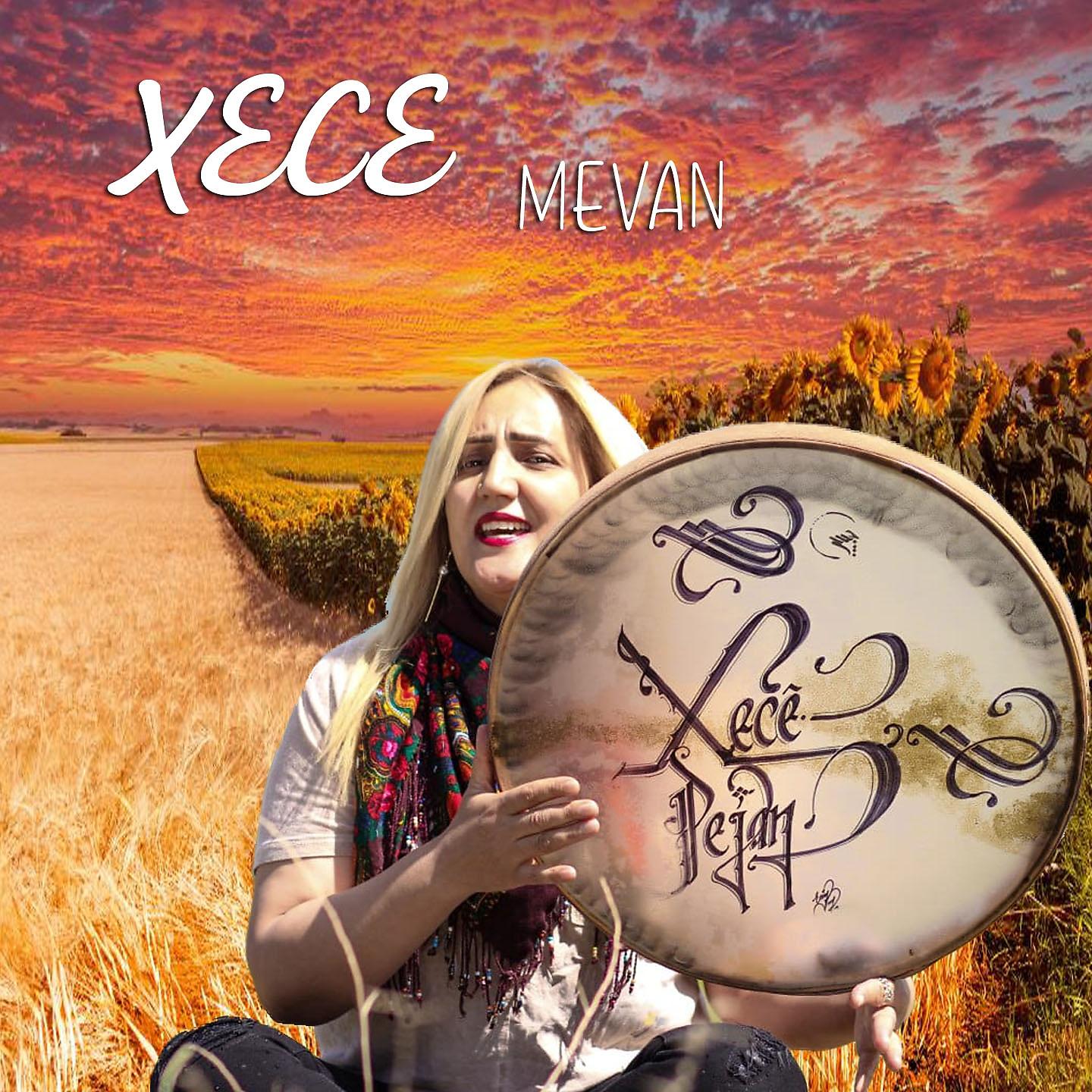 Постер альбома Mevan
