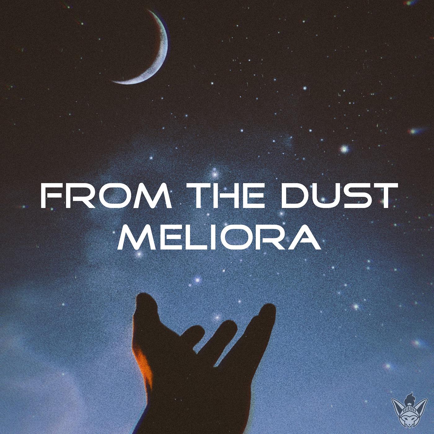 Постер альбома Meliora