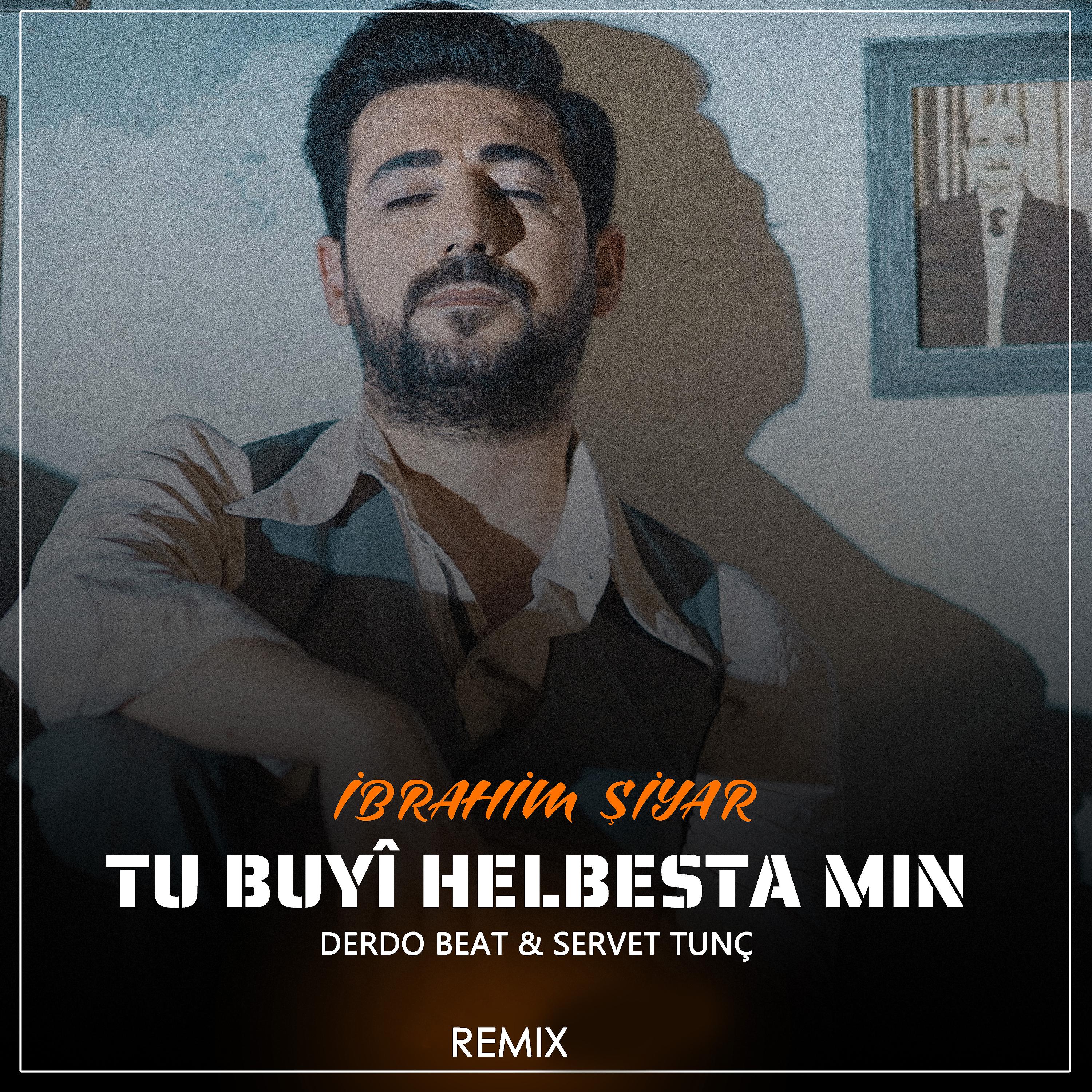 Постер альбома Tu Buyî Helbesta Min (Remix)