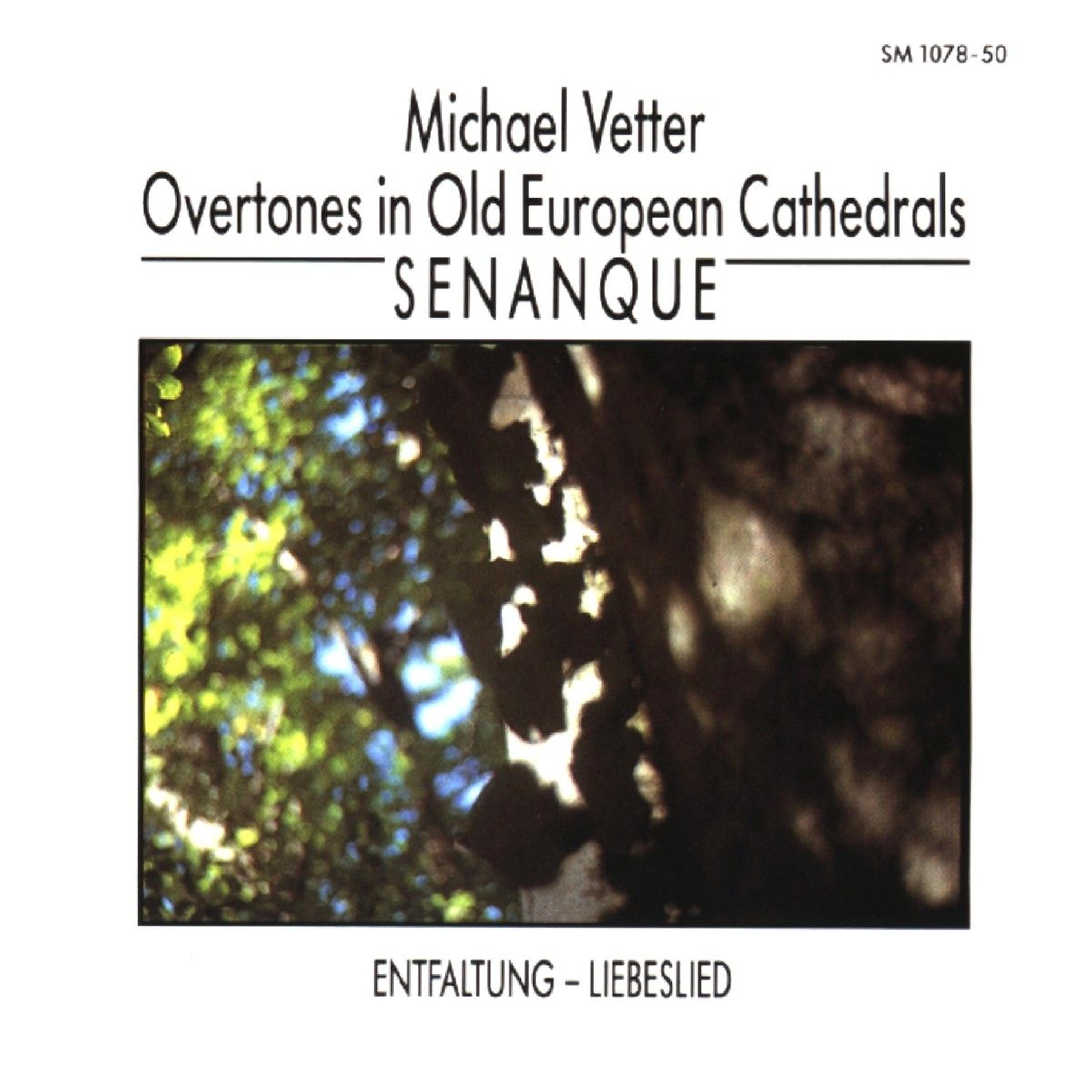 Постер альбома Overtones in Old European Cathedrals: Senanque