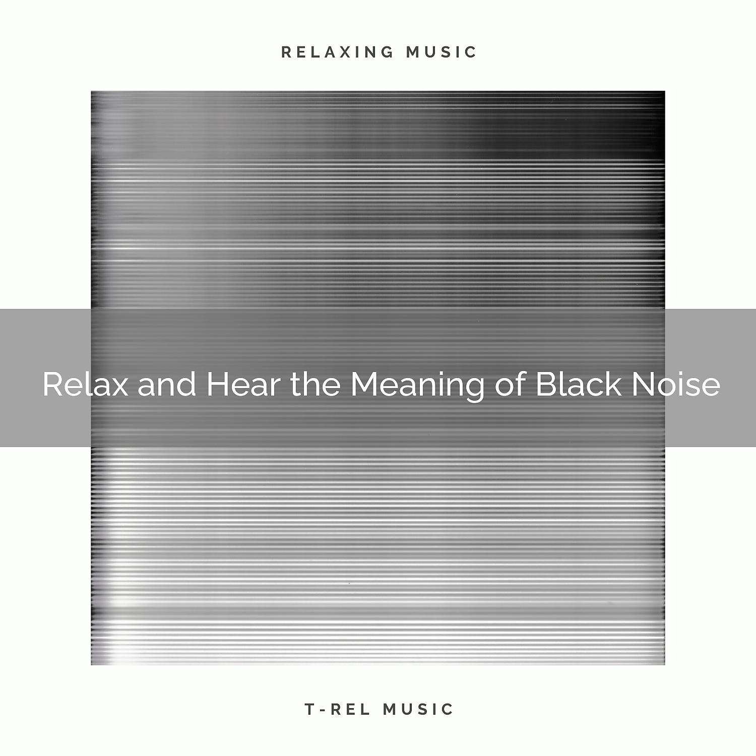 Постер альбома Relax and Hear the Meaning of Black Noise