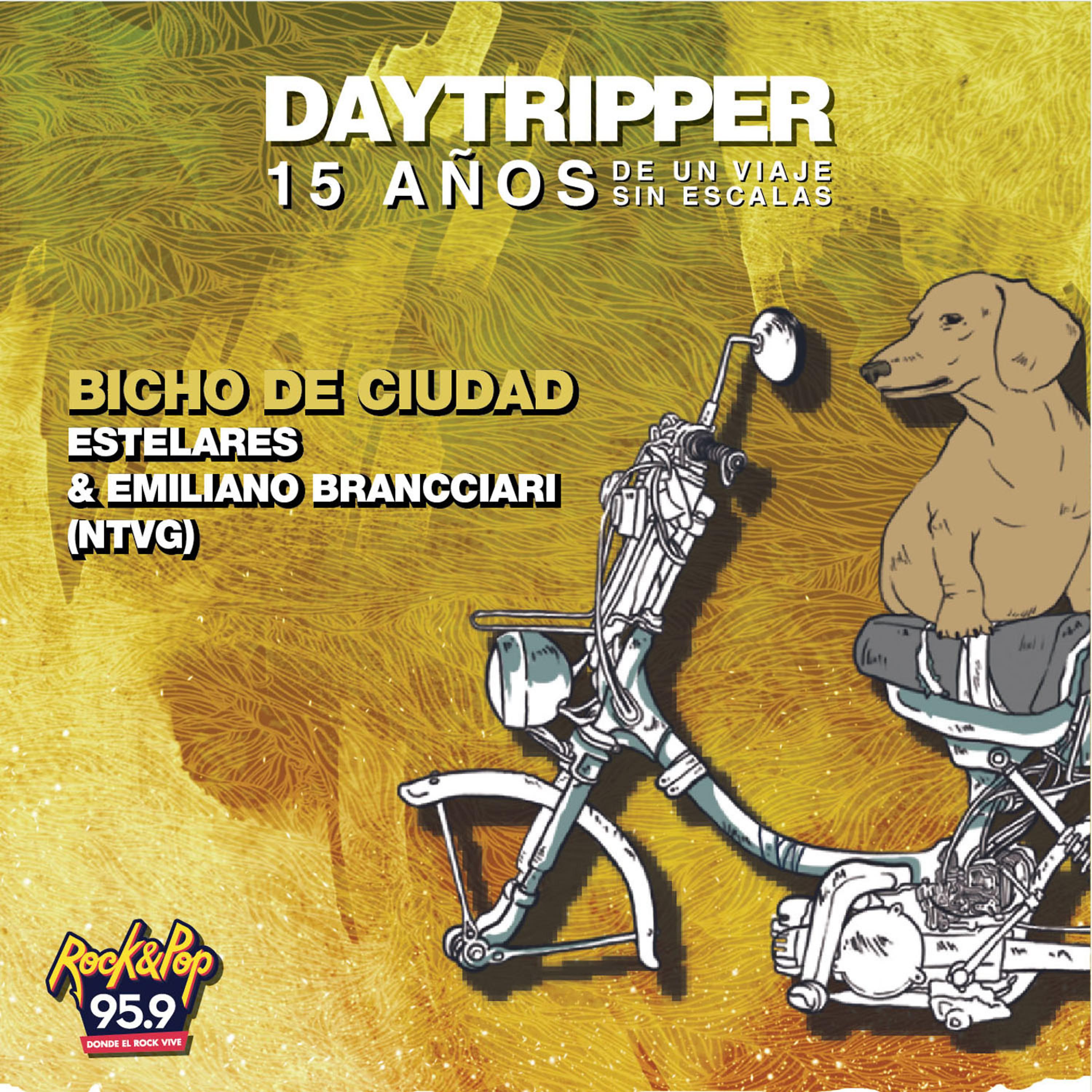 Постер альбома Bicho de Ciudad