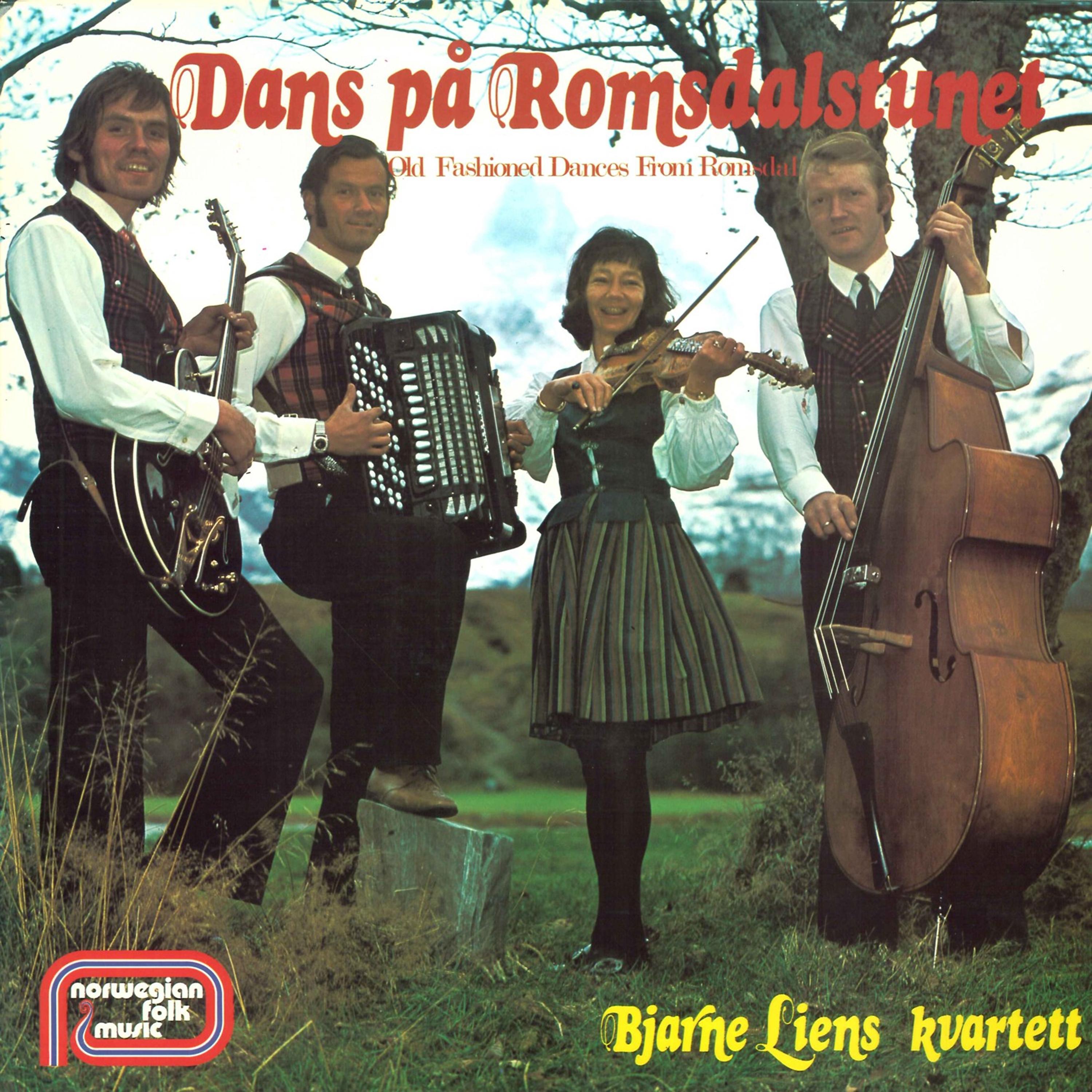 Постер альбома Dans På Romsdalstunet