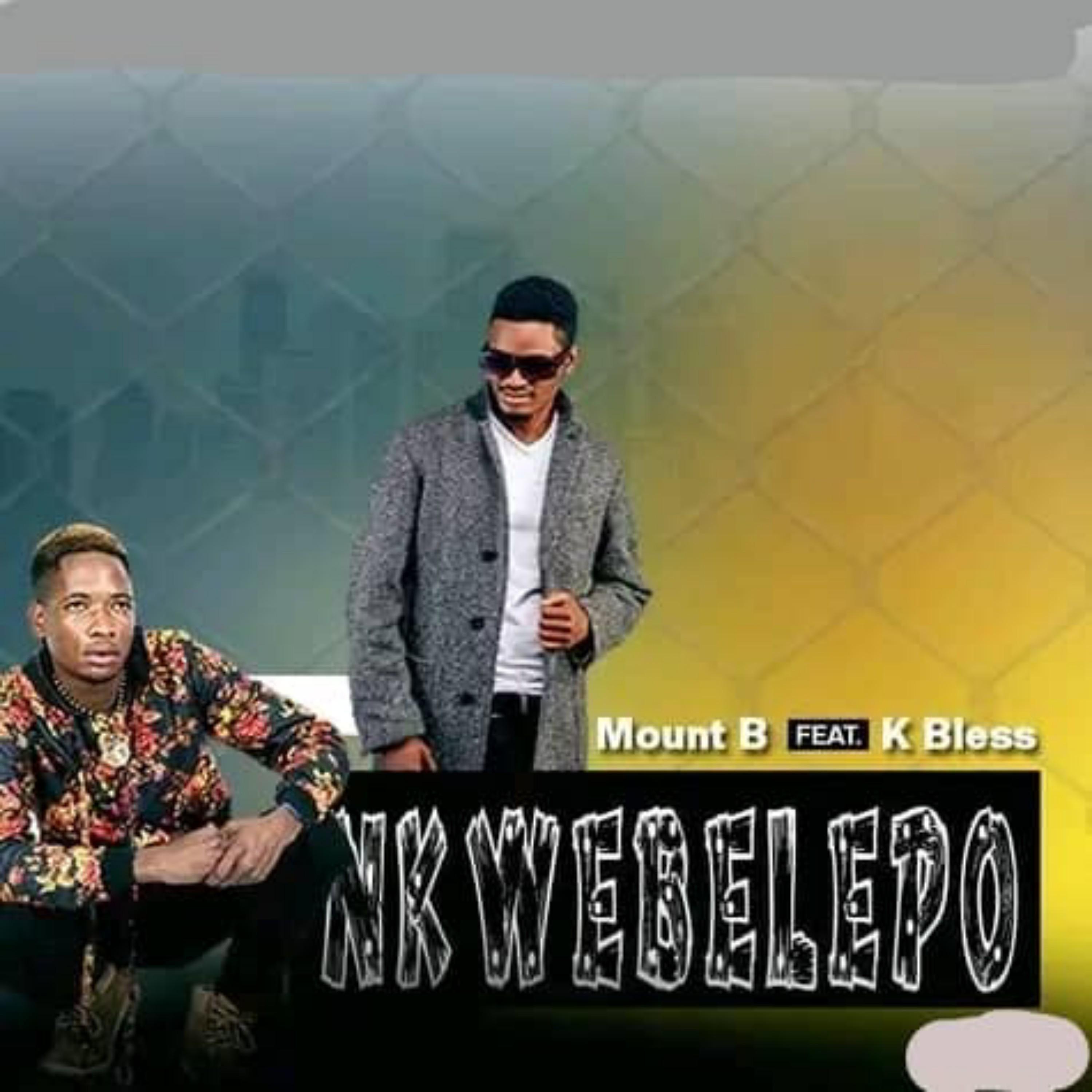 Постер альбома Nkwebelepo (feat. K Bless)