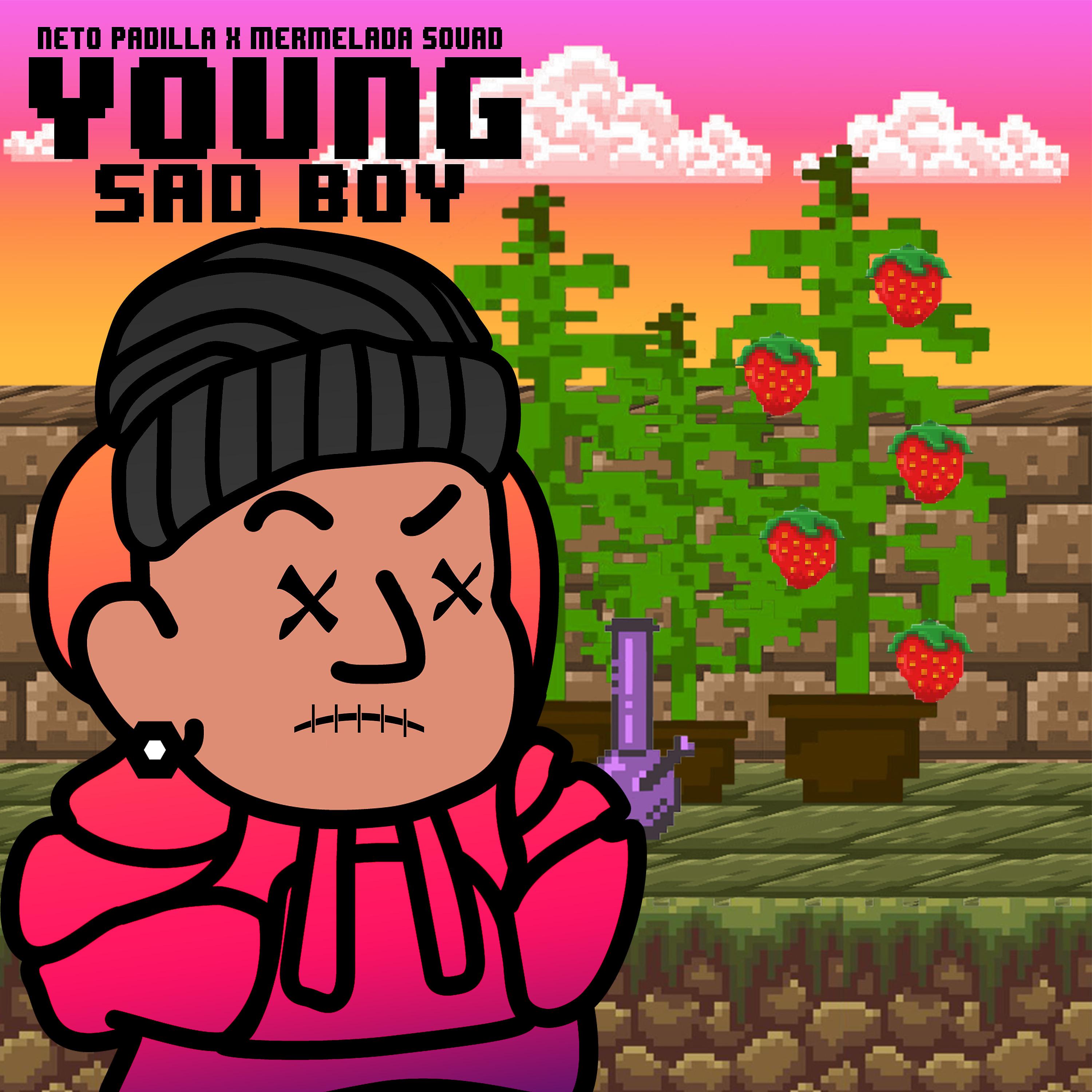 Постер альбома Young Sad Boy