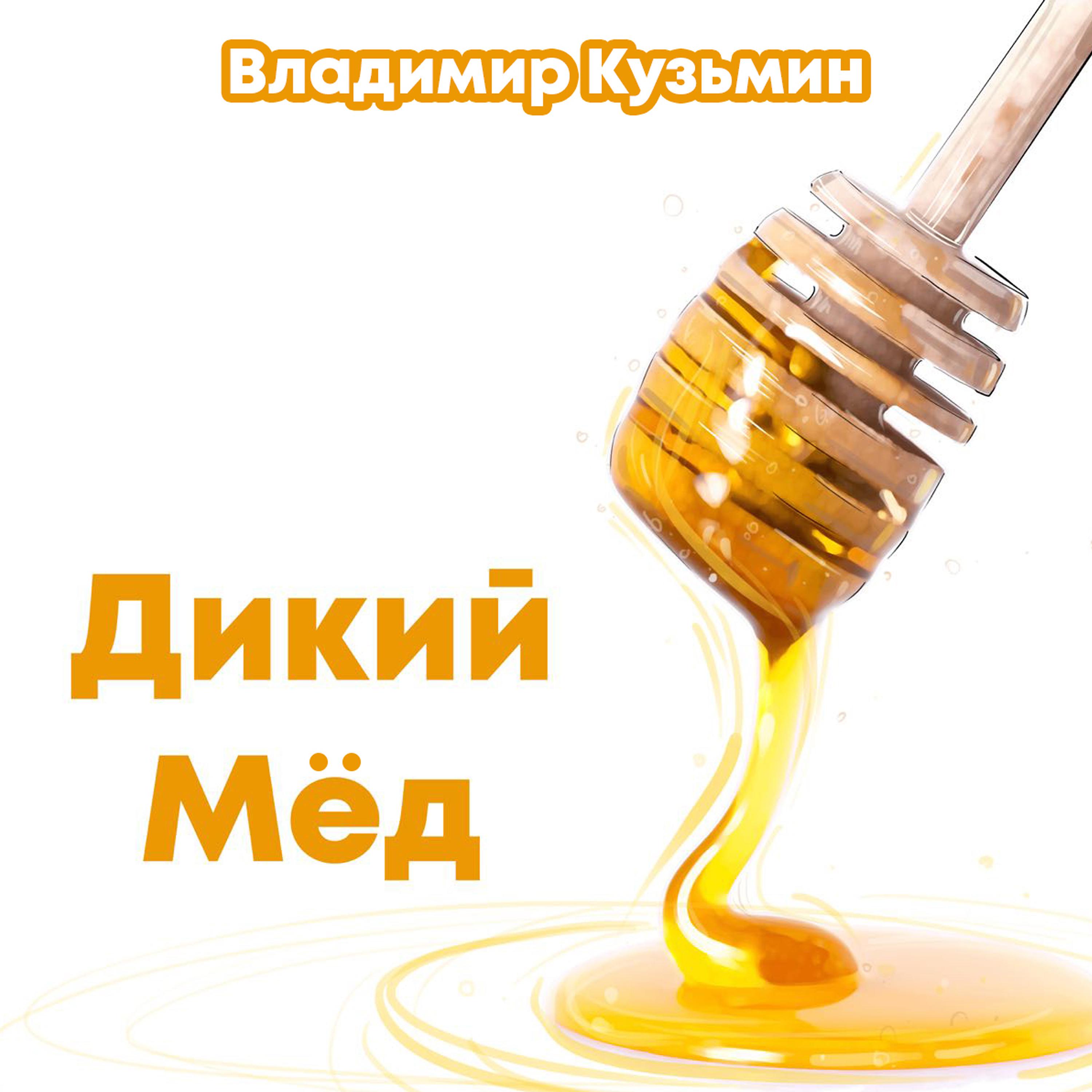 Постер альбома Дикий мёд