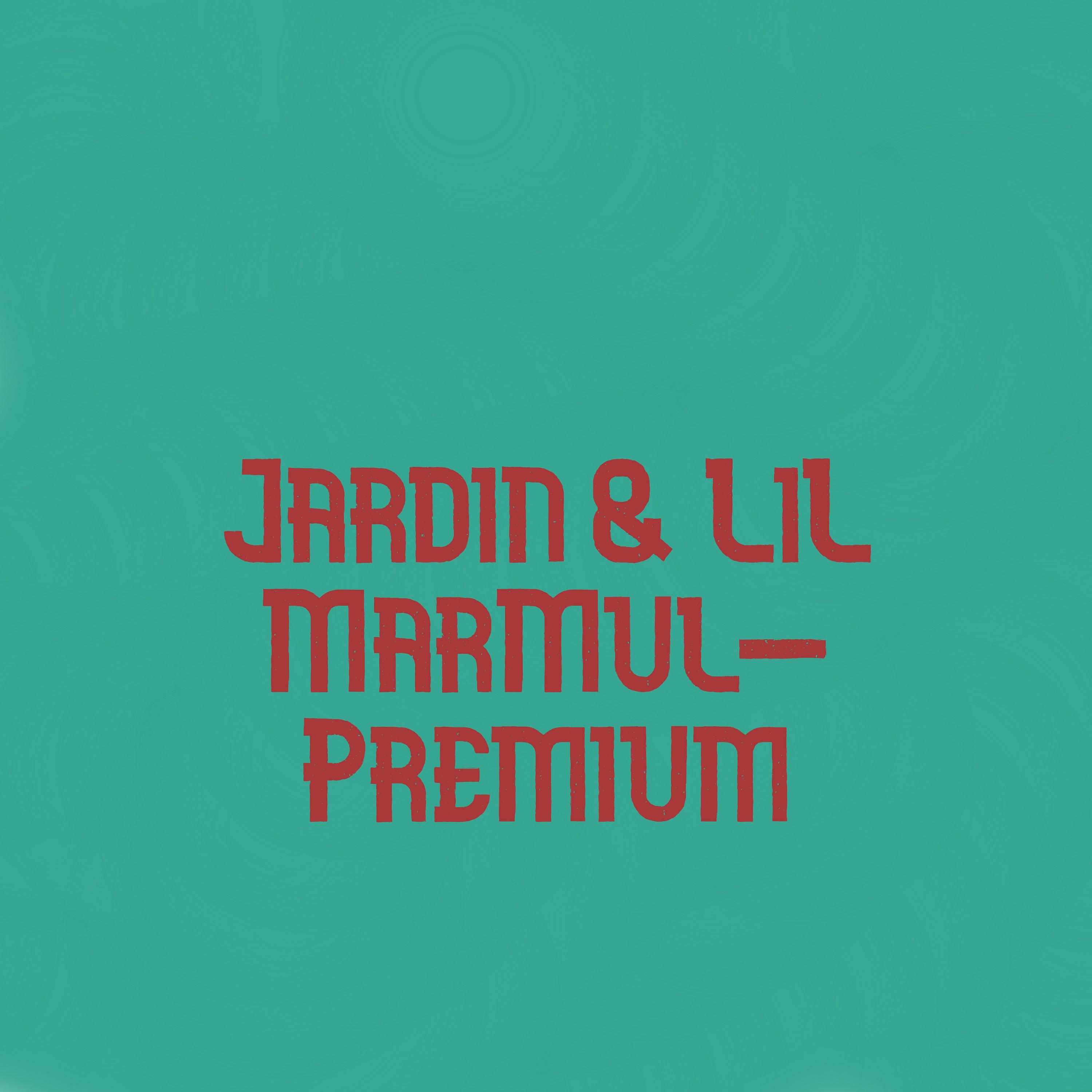 Постер альбома Premium