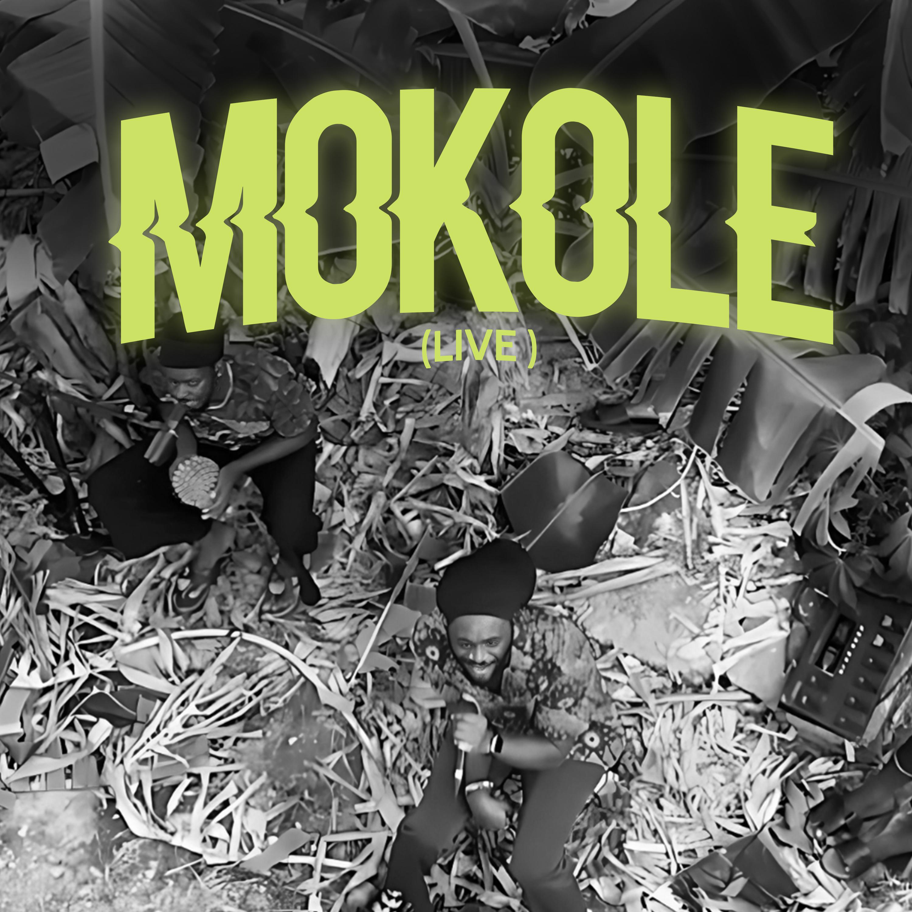 Постер альбома Mokole