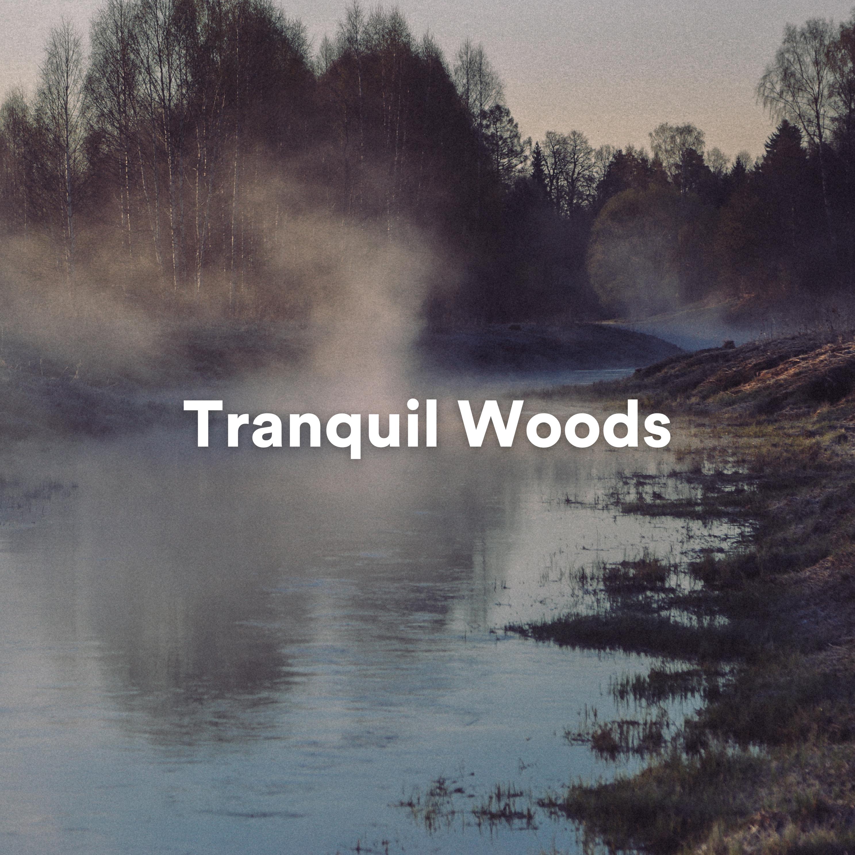 Постер альбома Tranquil Woods