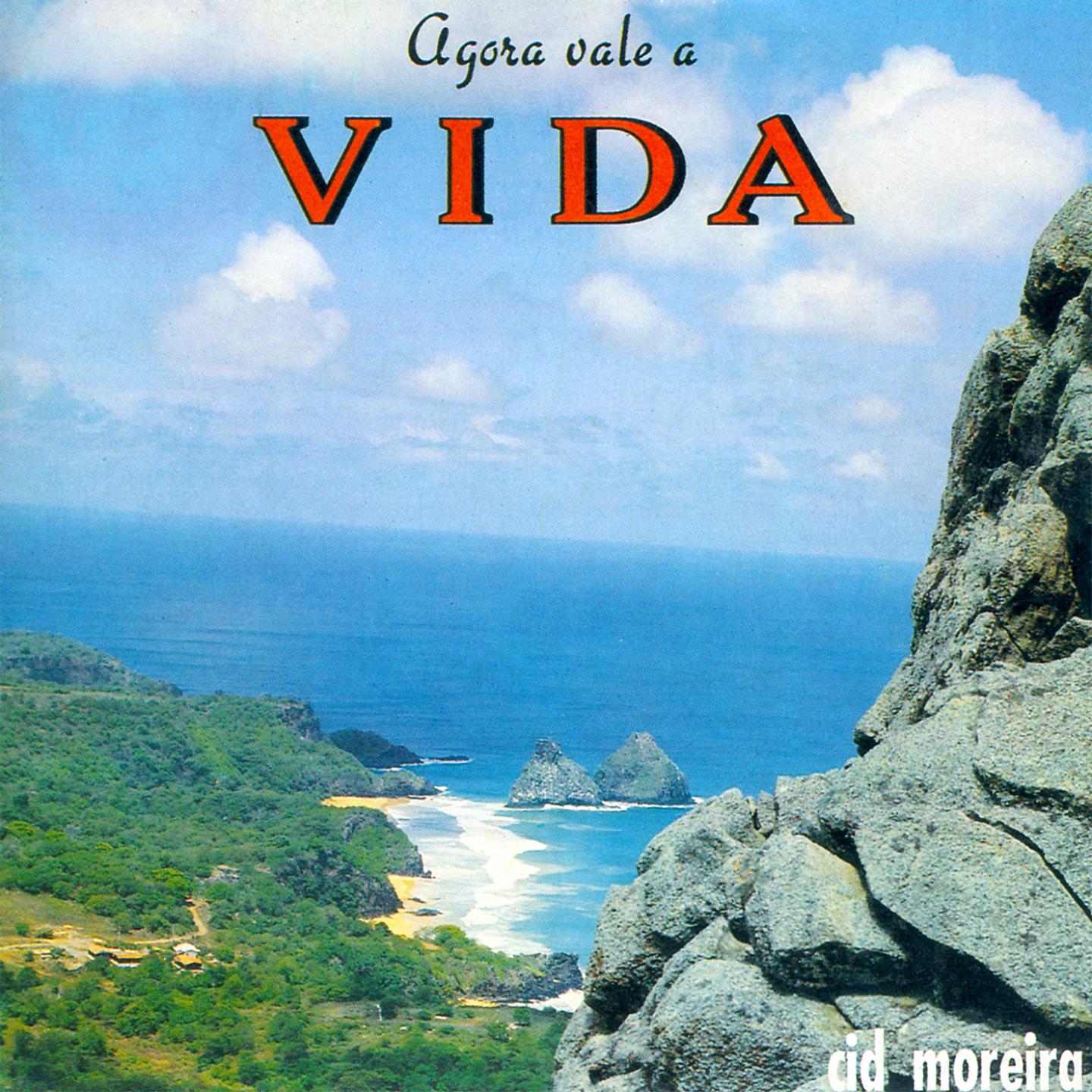 Постер альбома Agora Vale a Vida