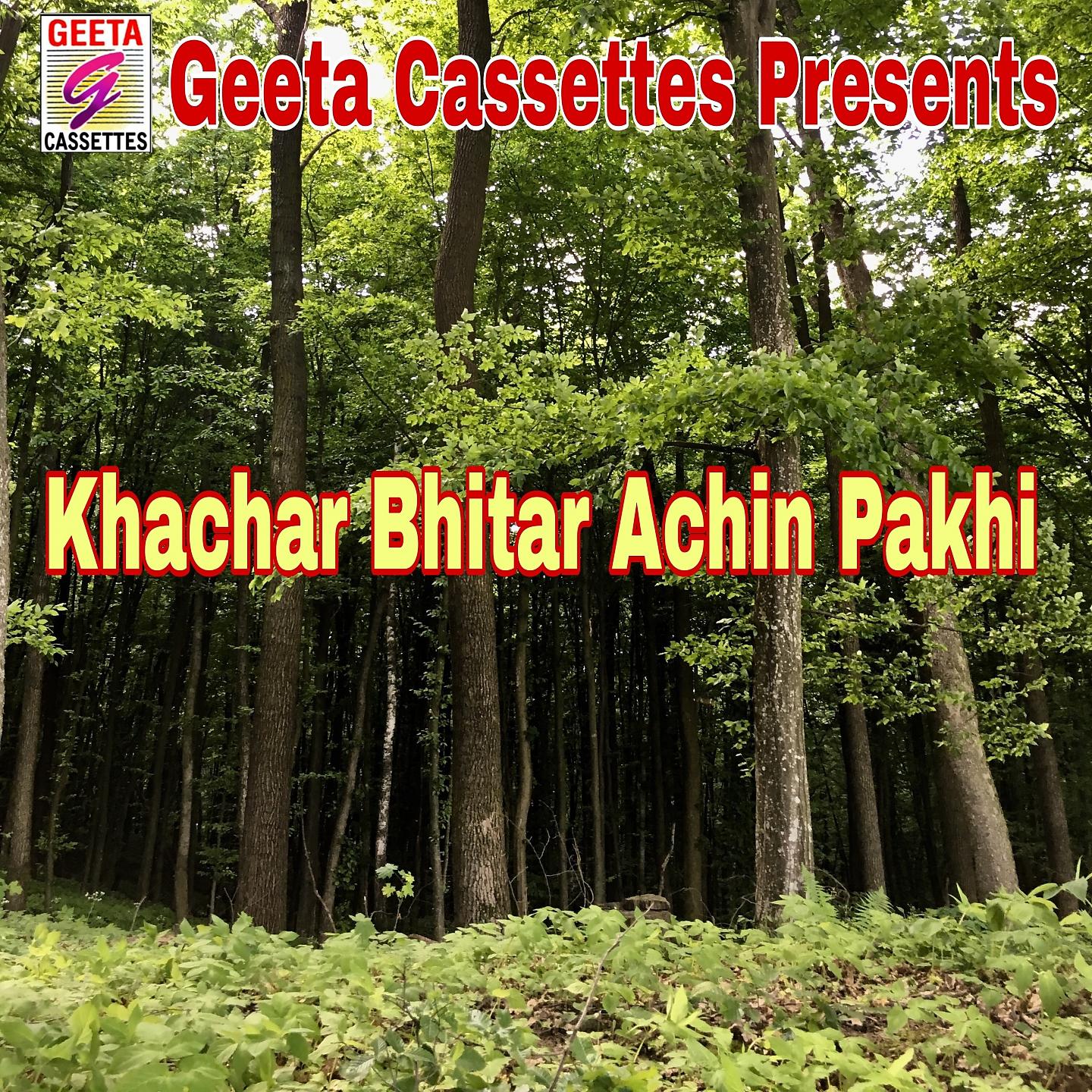 Постер альбома Khachar Bhitar Achin Pakhi