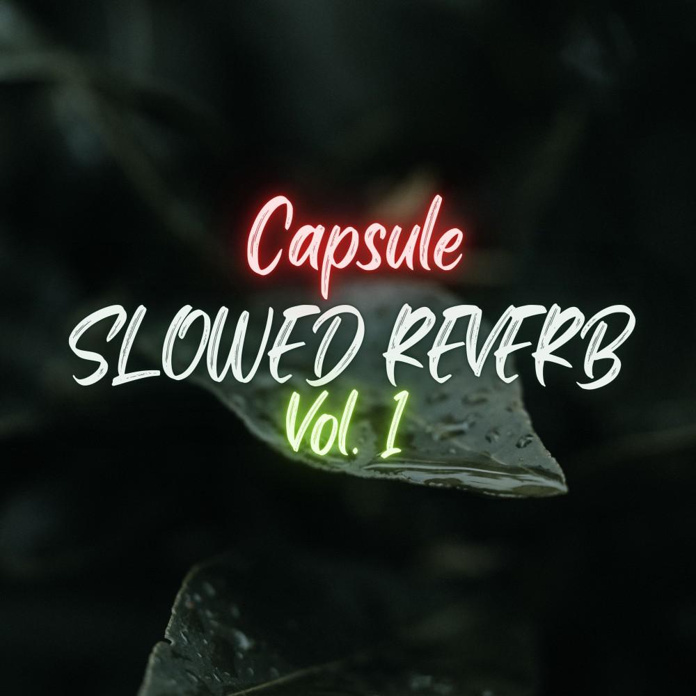 Постер альбома Capsule Slowed Reverb (Vol.)