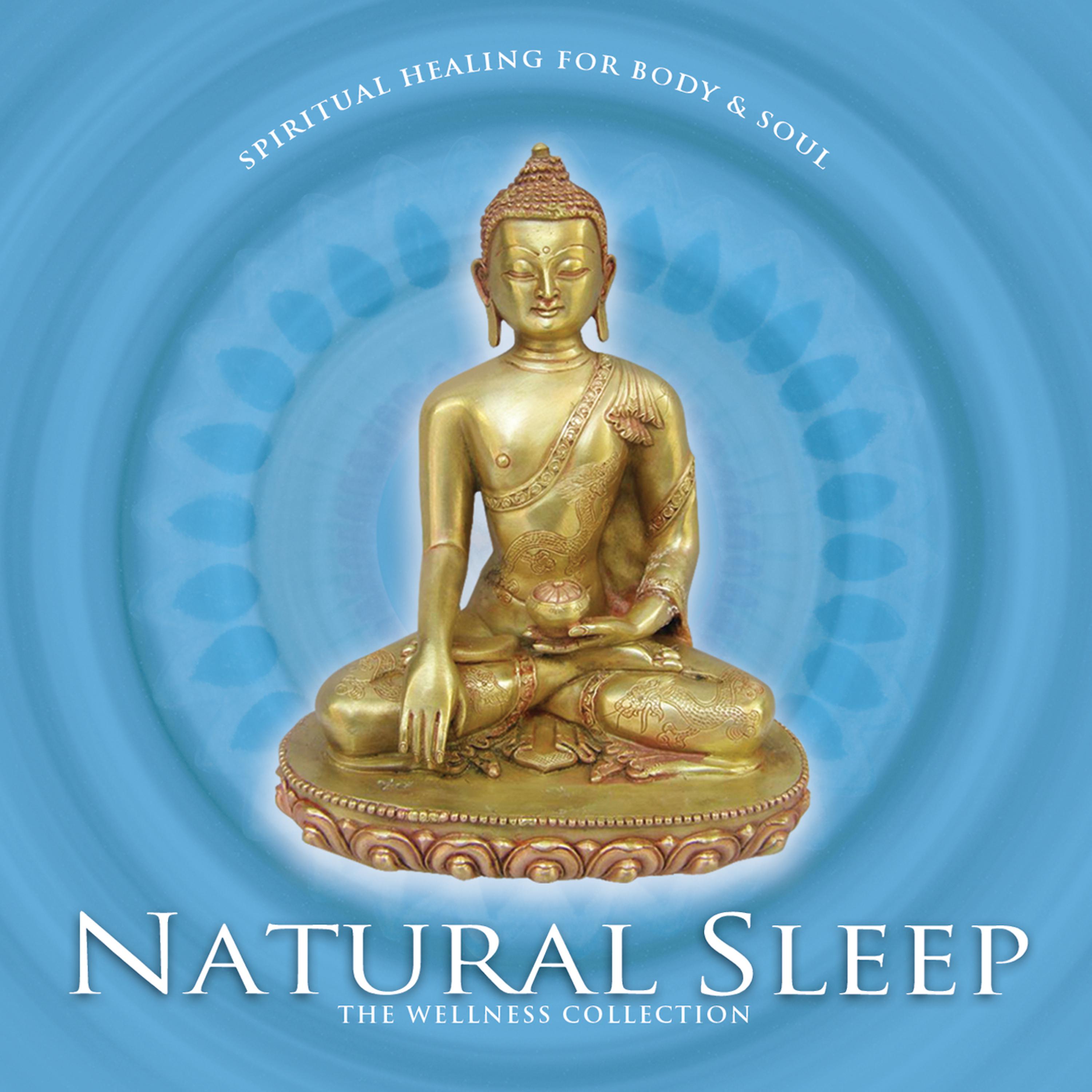 Постер альбома The Wellness Collection: Natural Sleep