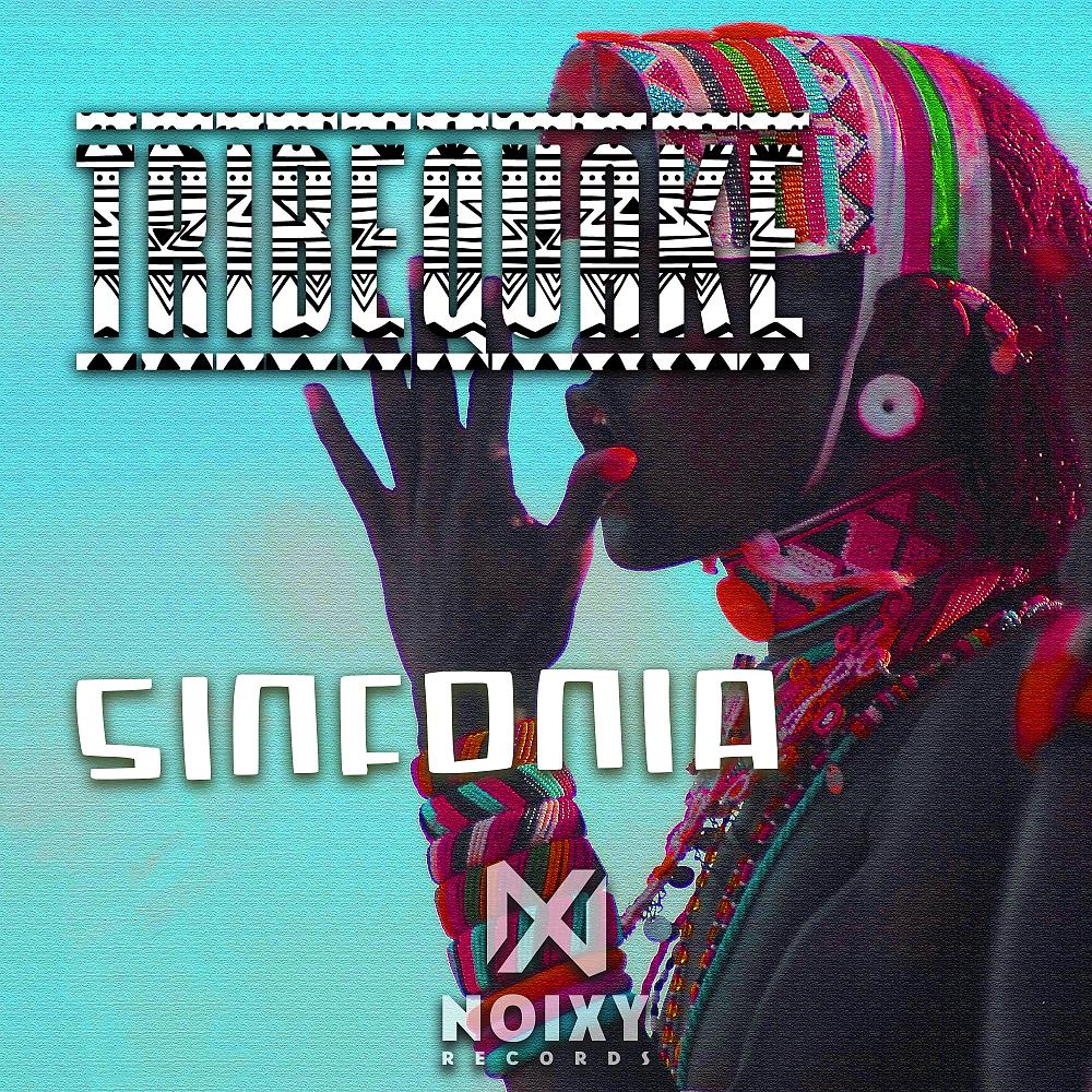Постер альбома Sinfonia (Afro House Mix)