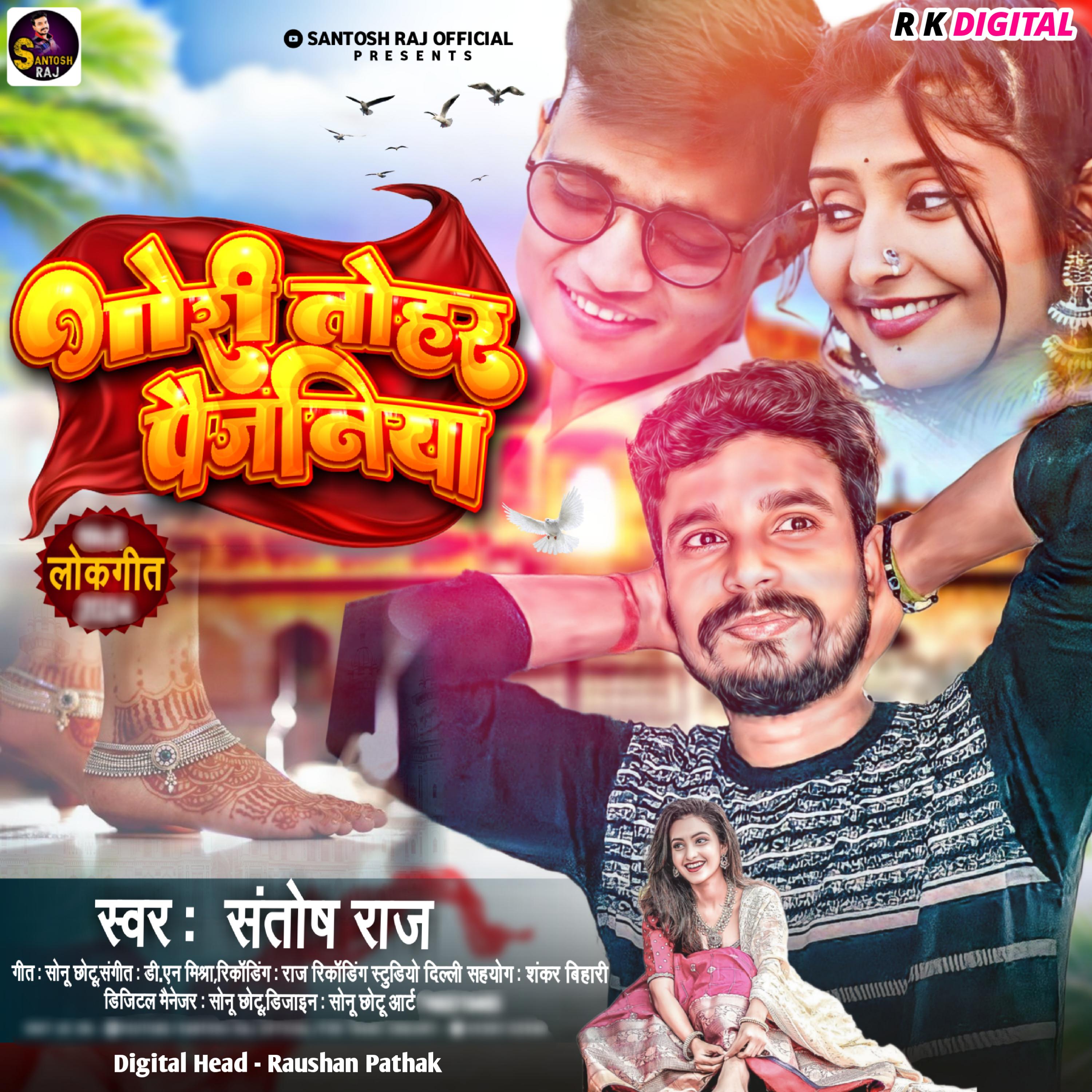 Постер альбома Gori Tohar Paijaniya