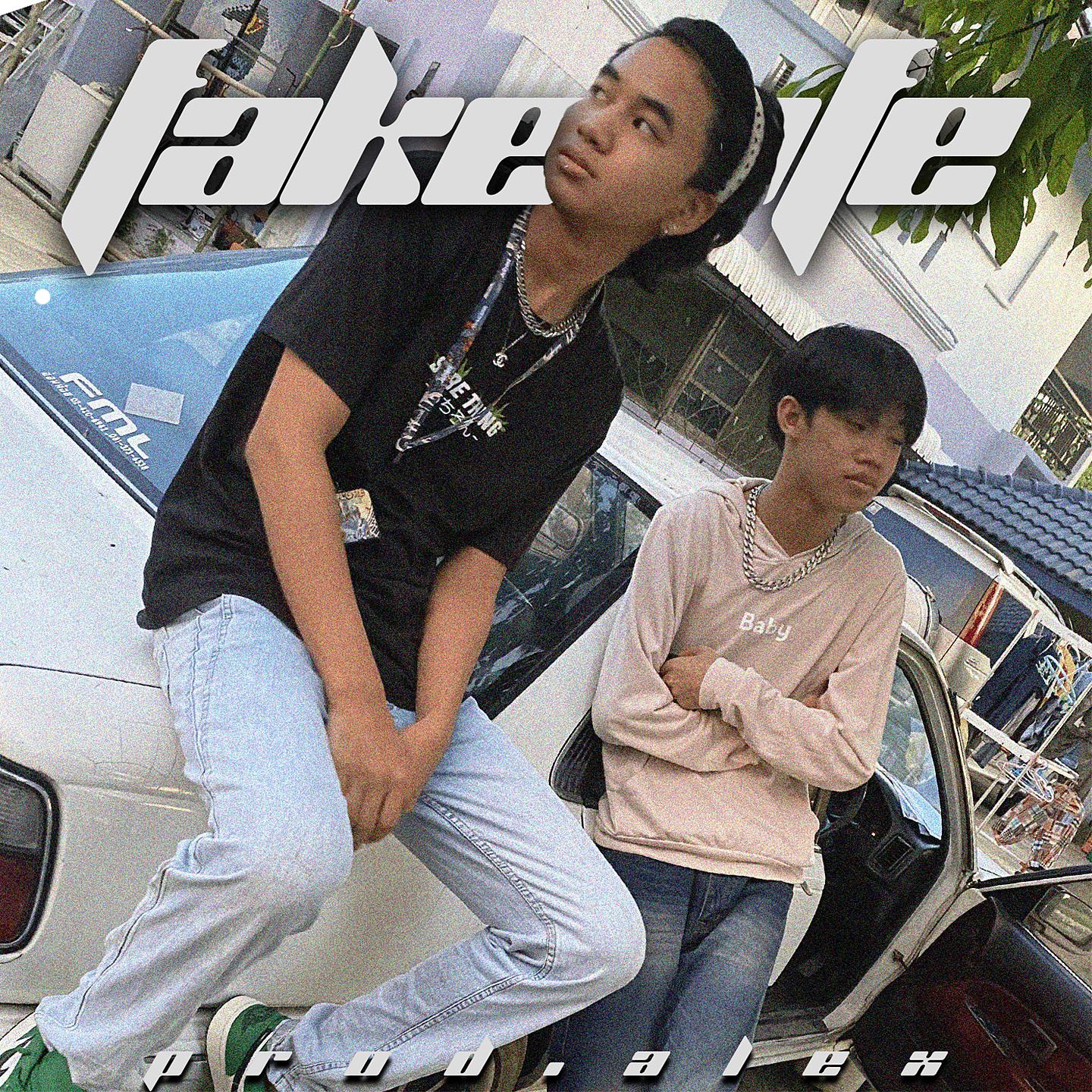 Постер альбома FAKE LIFE