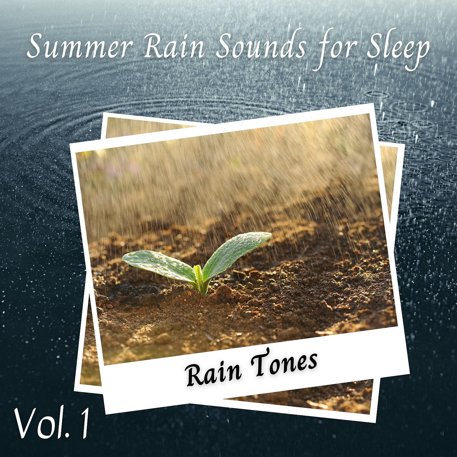Постер альбома Rain Tones: Summer Rain Sounds for Sleep Vol. 1