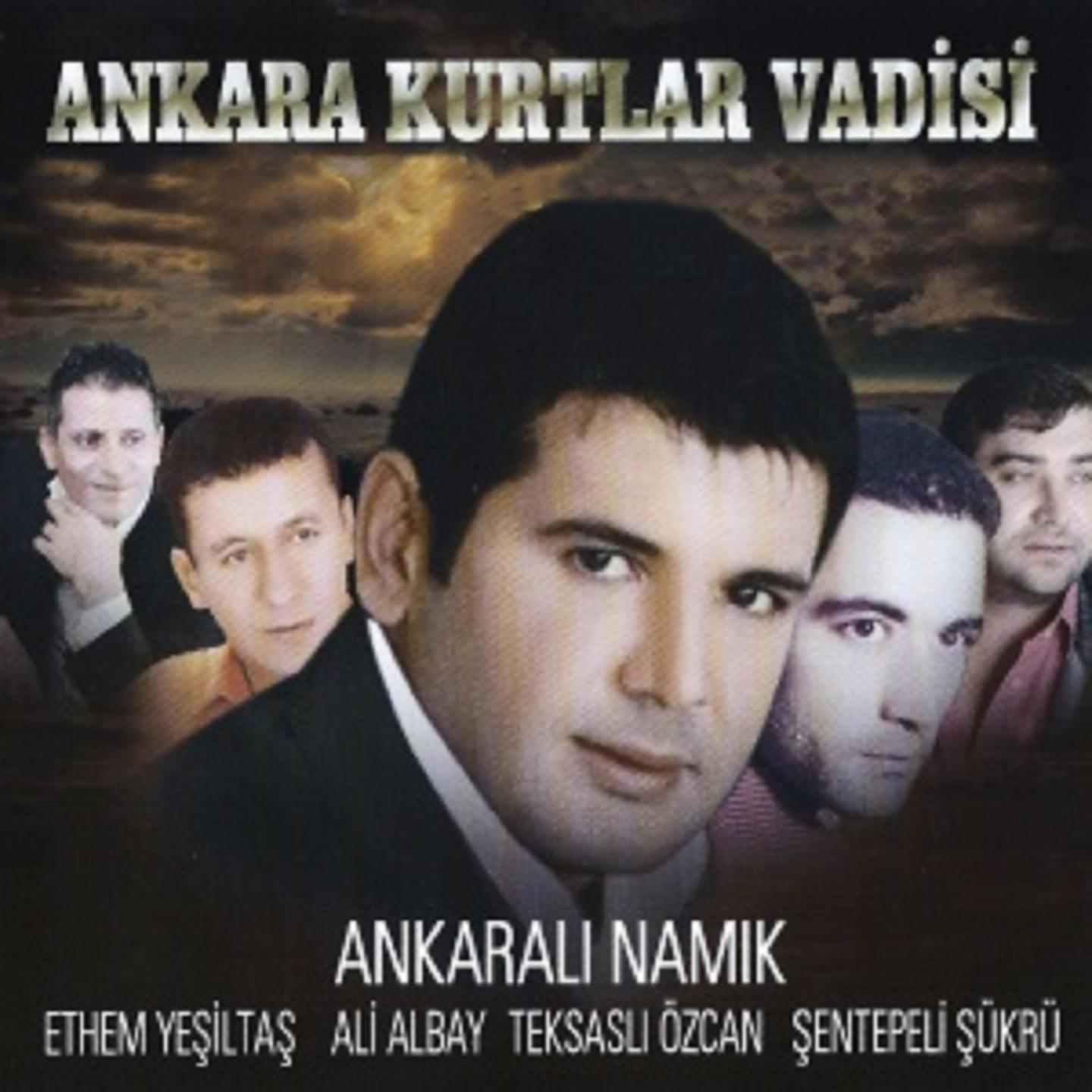 Постер альбома Ankara Kurtlar Vadisi