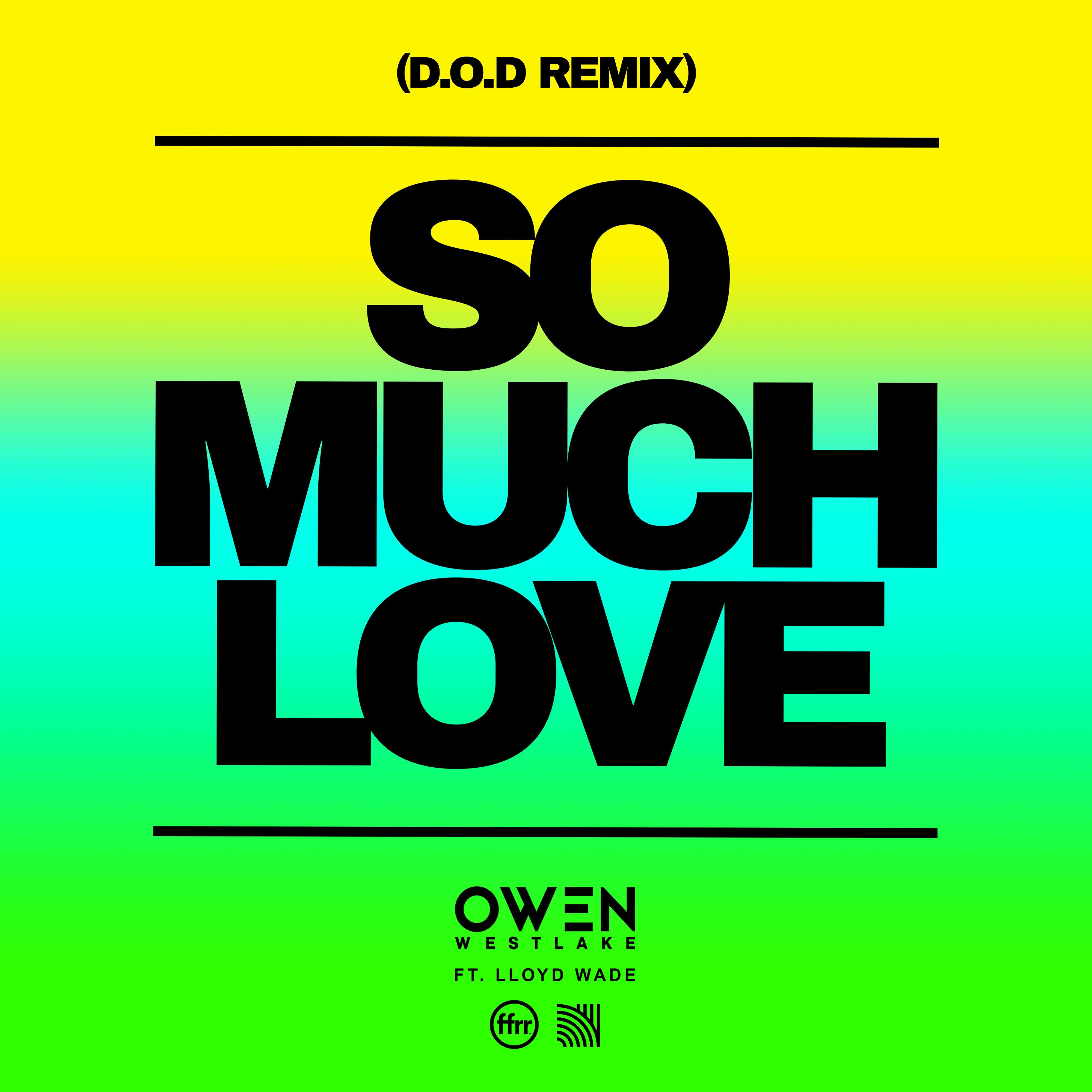 Постер альбома So Much Love (feat. Lloyd Wade) [D.O.D Remix]