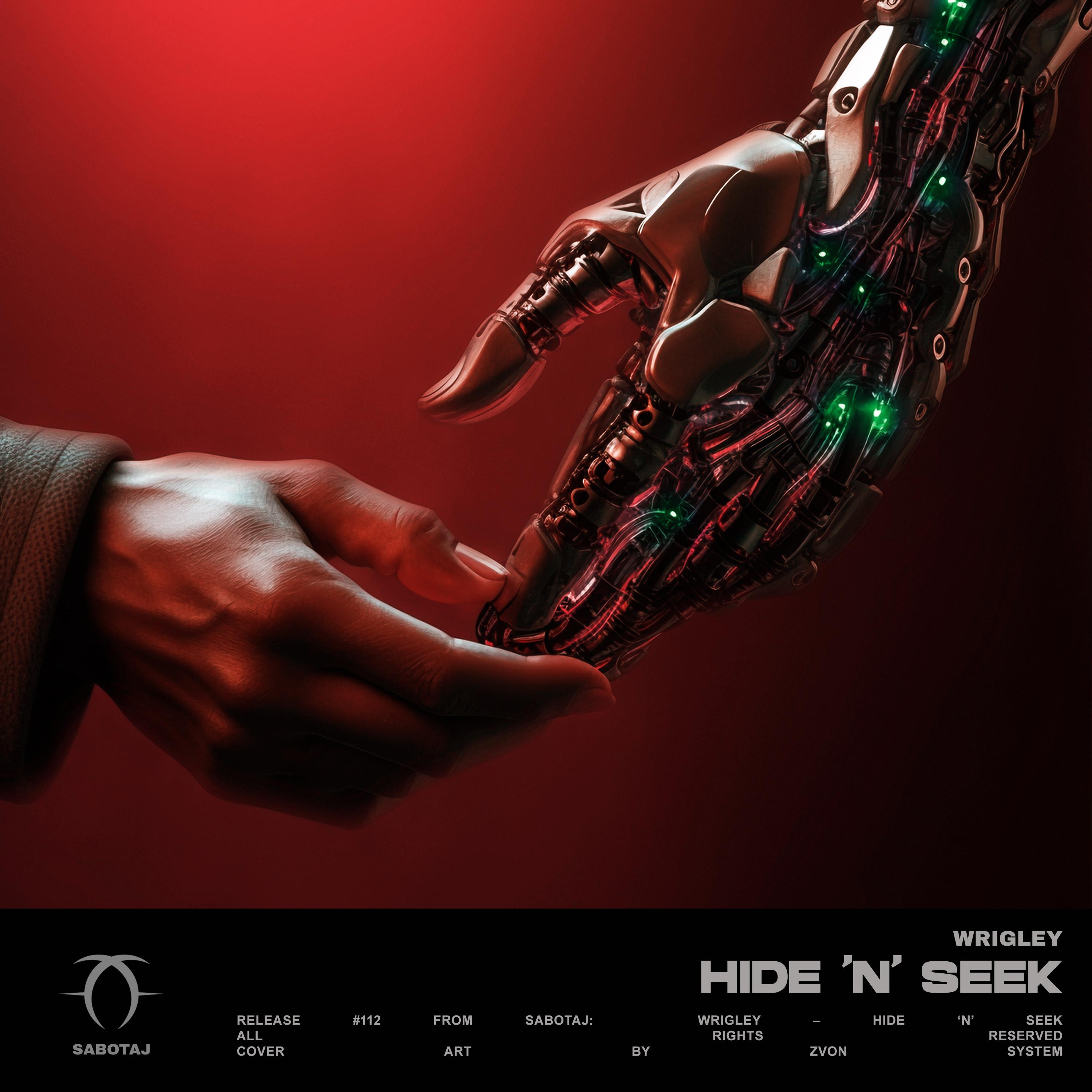 Постер альбома Hide ‘n’ Seek