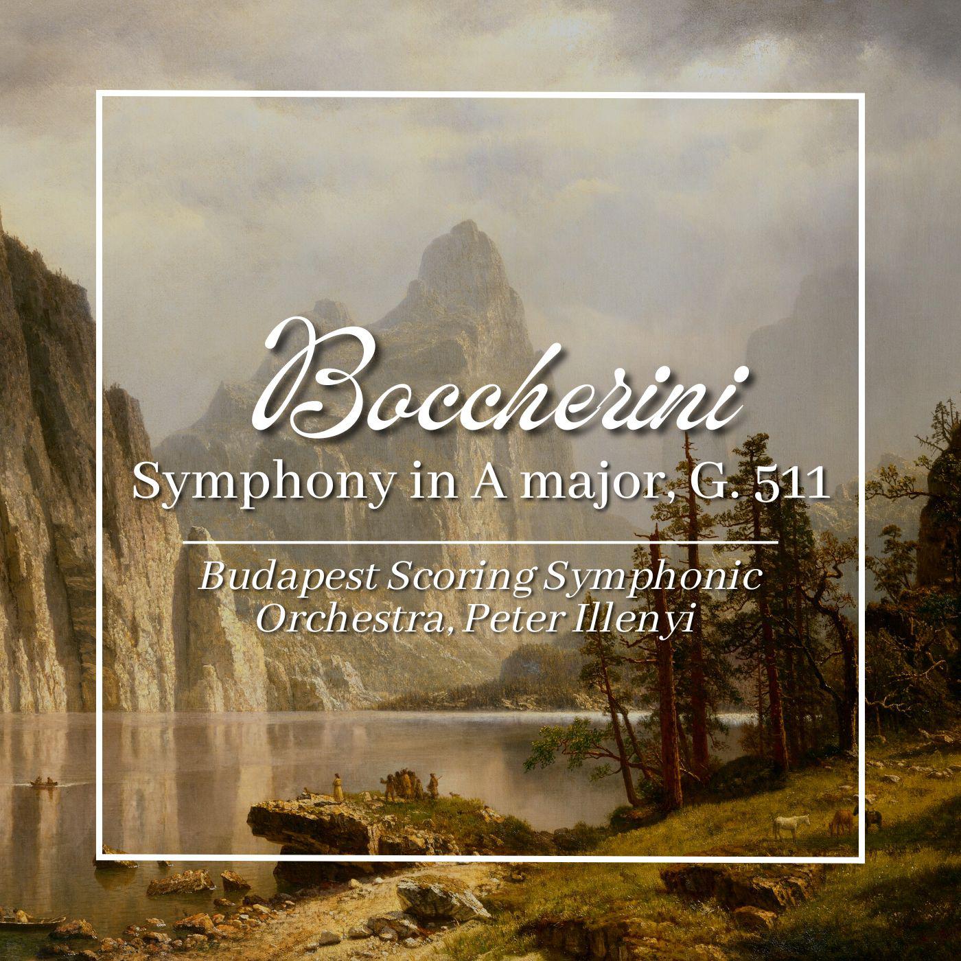 Постер альбома Boccherini: Symphony in A Major, G. 511